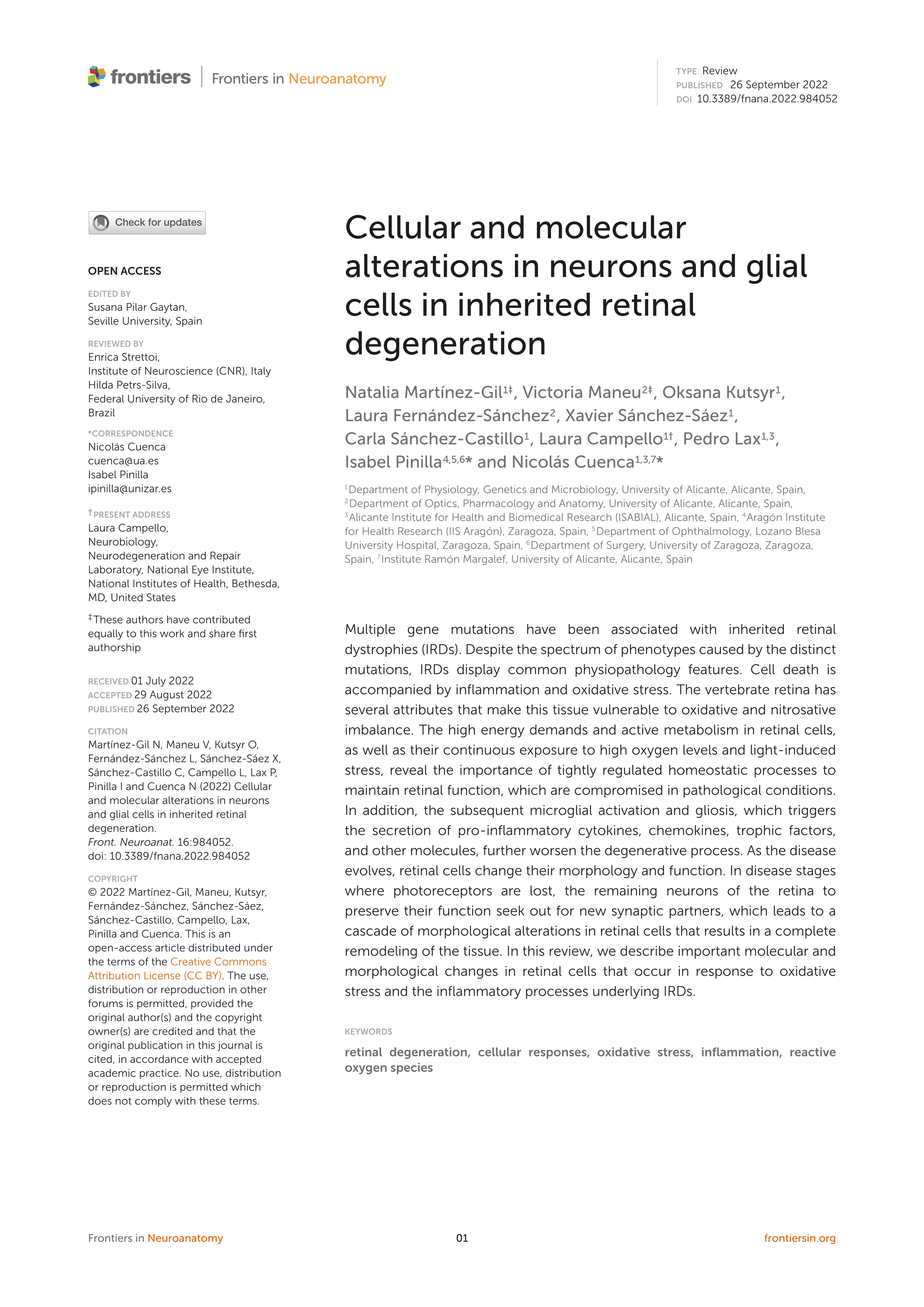 Cellular and molecular alterations in neurons and glial cells in inherited retinal degeneration