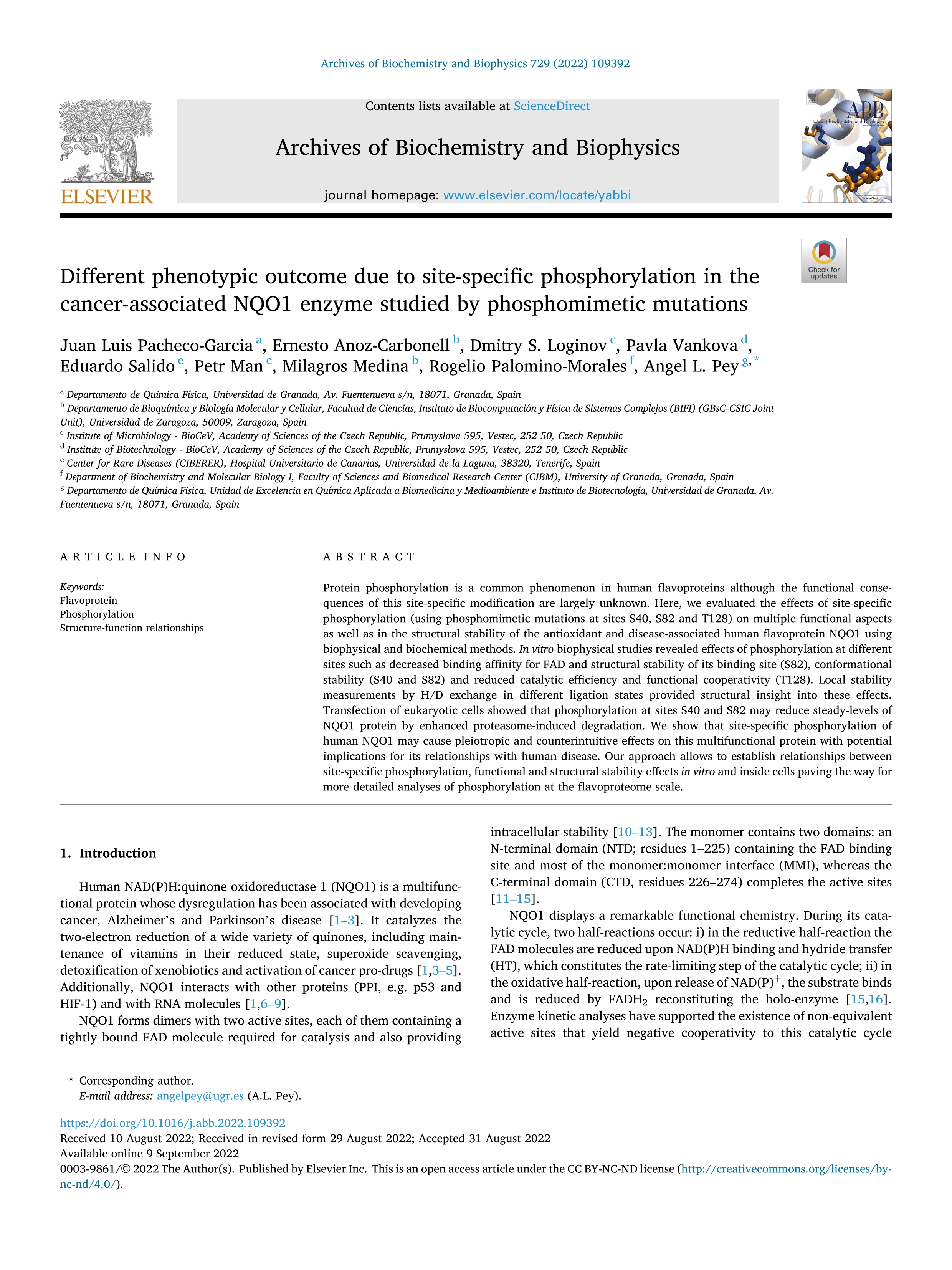 Different phenotypic outcome due to site-specific phosphorylation in the cancer-associated NQO1 enzyme studied by phosphomimetic mutations