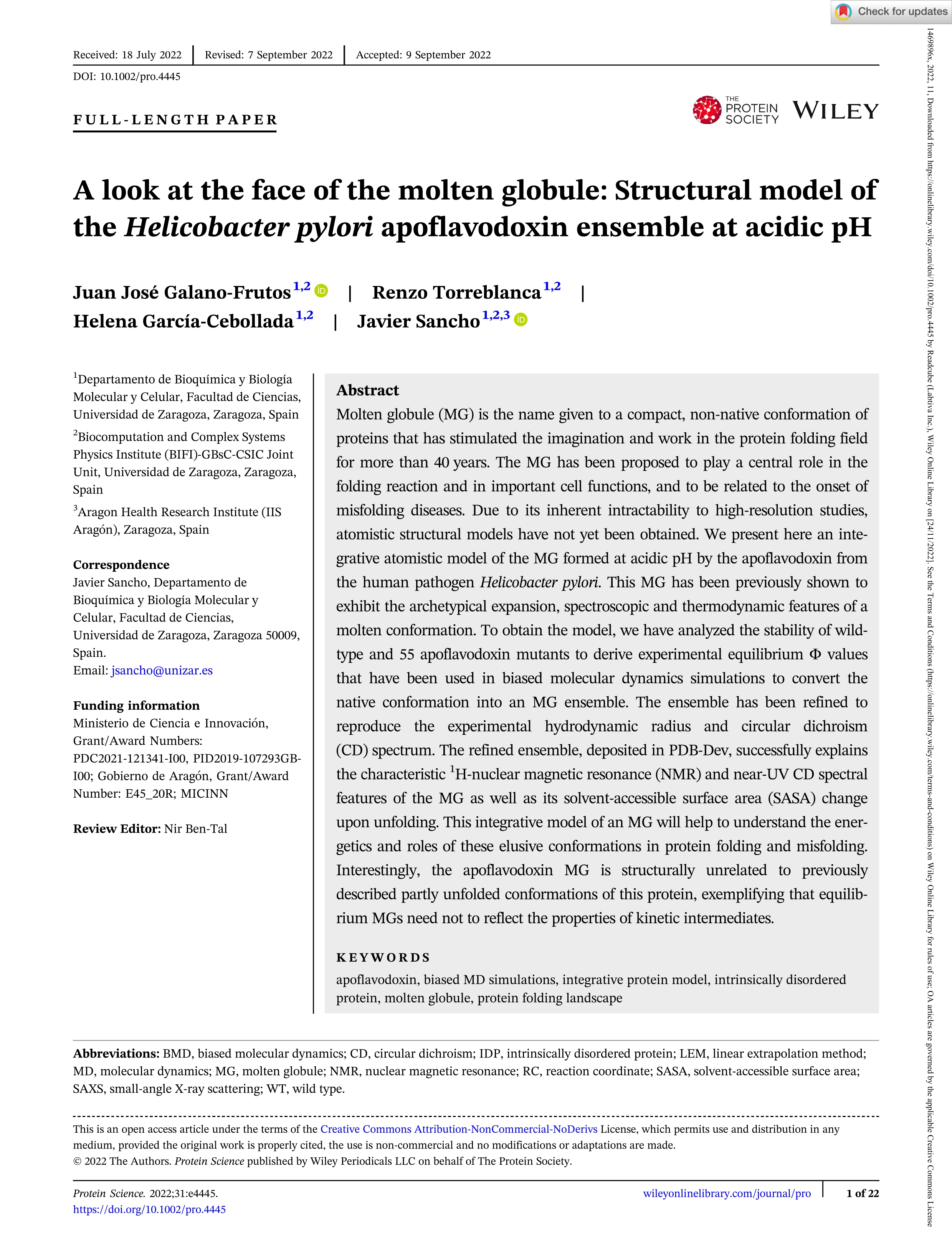 A look at the face of the molten globule: Structural model of the            <scp>              <i>Helicobacter pylori</i>            </scp>            apoflavodoxin ensemble at acidic            <scp>pH</scp>