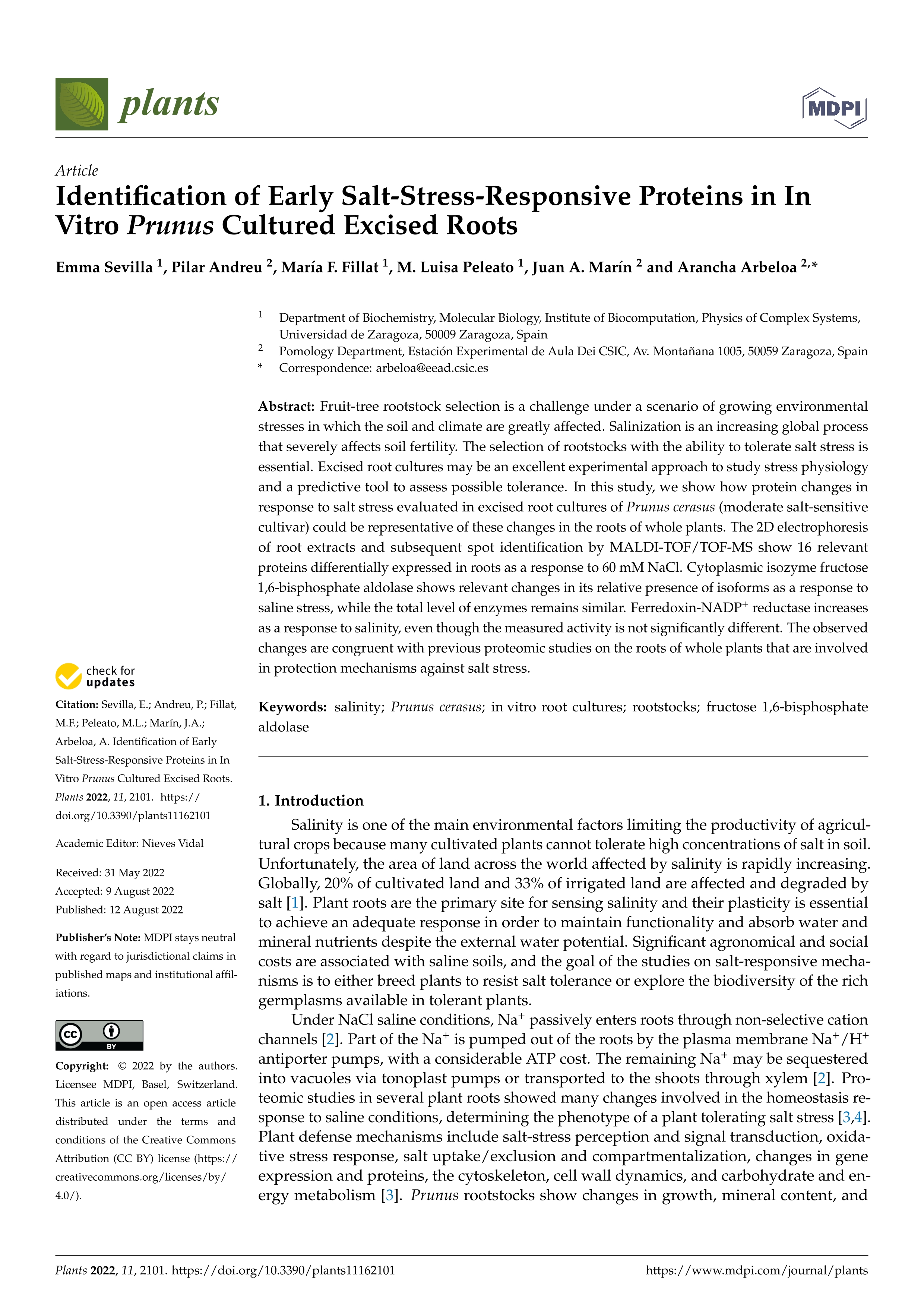 Identification of Early Salt-Stress-Responsive Proteins in In Vitro Prunus Cultured Excised Roots