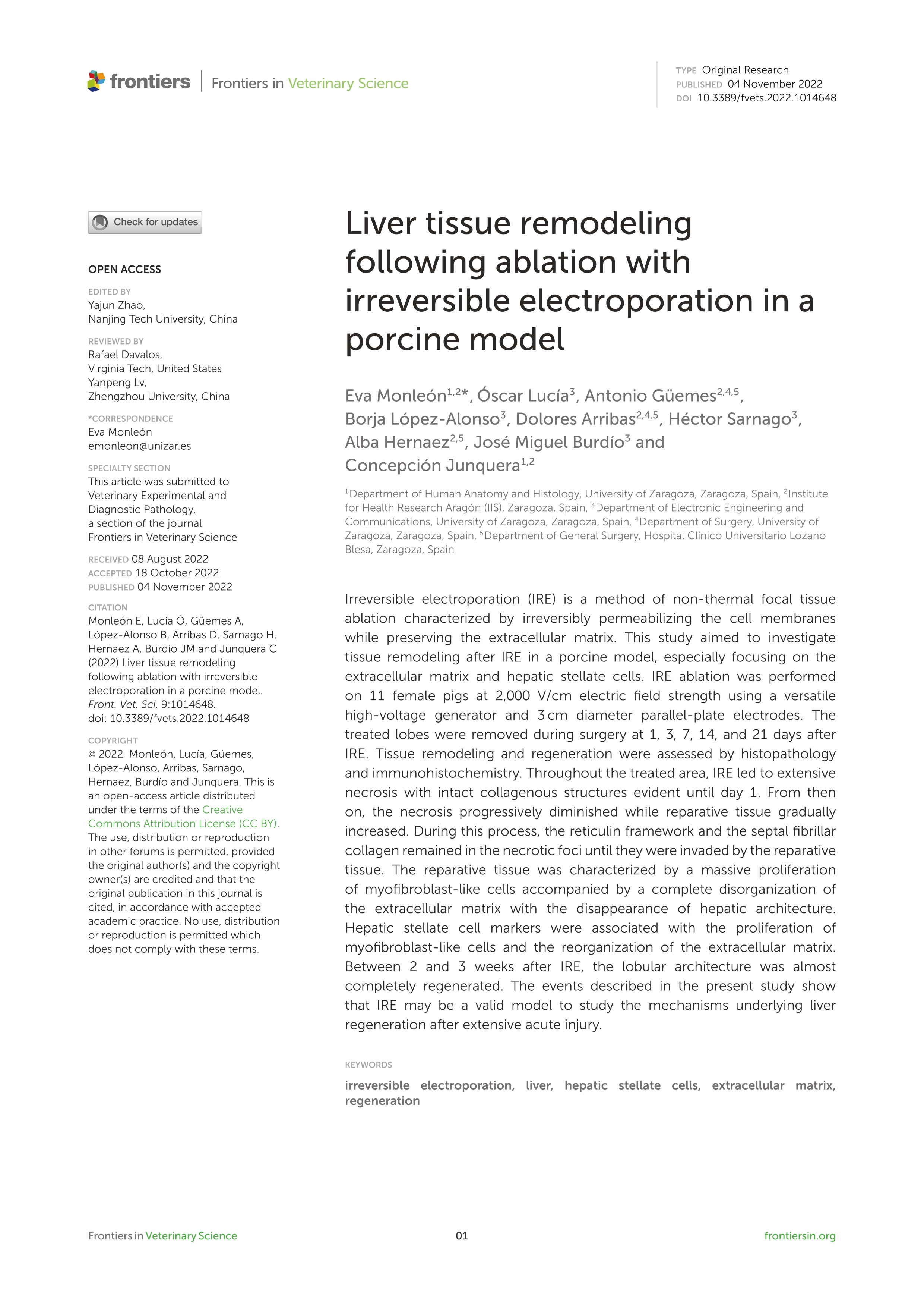 Liver tissue remodeling following ablation with irreversible electroporation in a porcine model