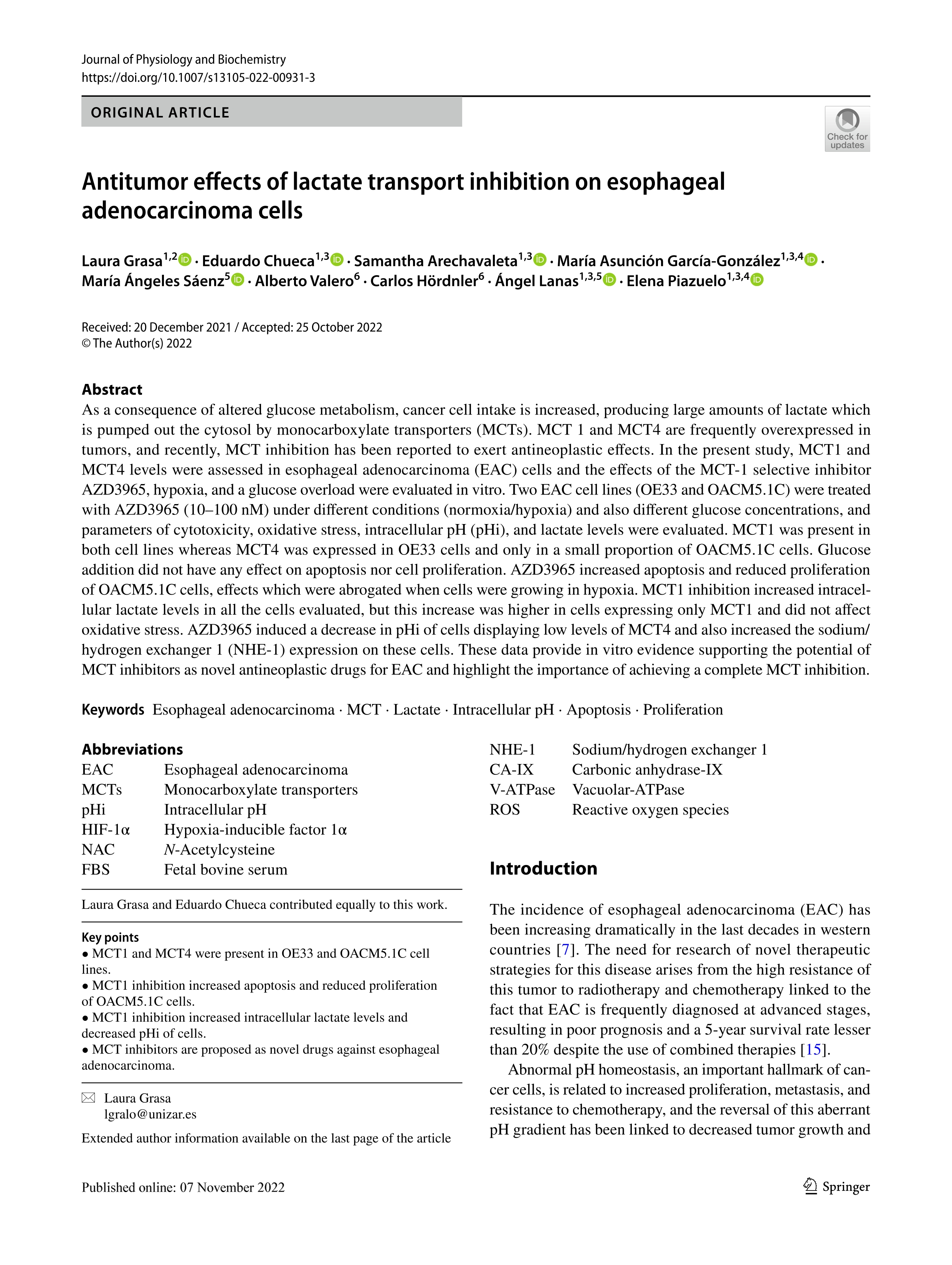 Antitumor effects of lactate transport inhibition on esophageal adenocarcinoma cells