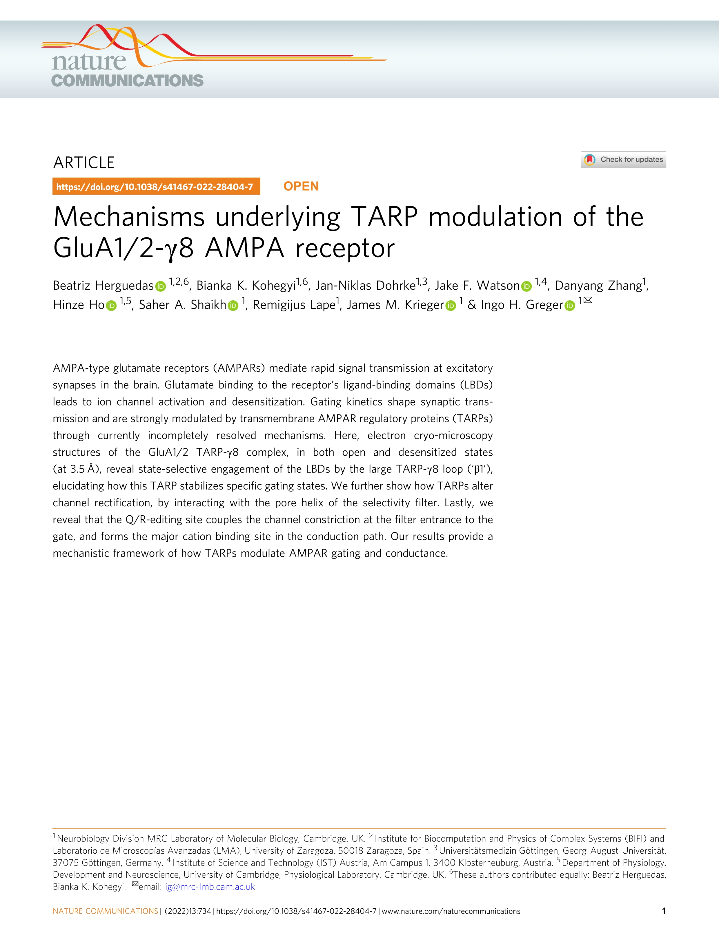 Mechanisms underlying TARP modulation of the GluA1/2-y8 AMPA receptor