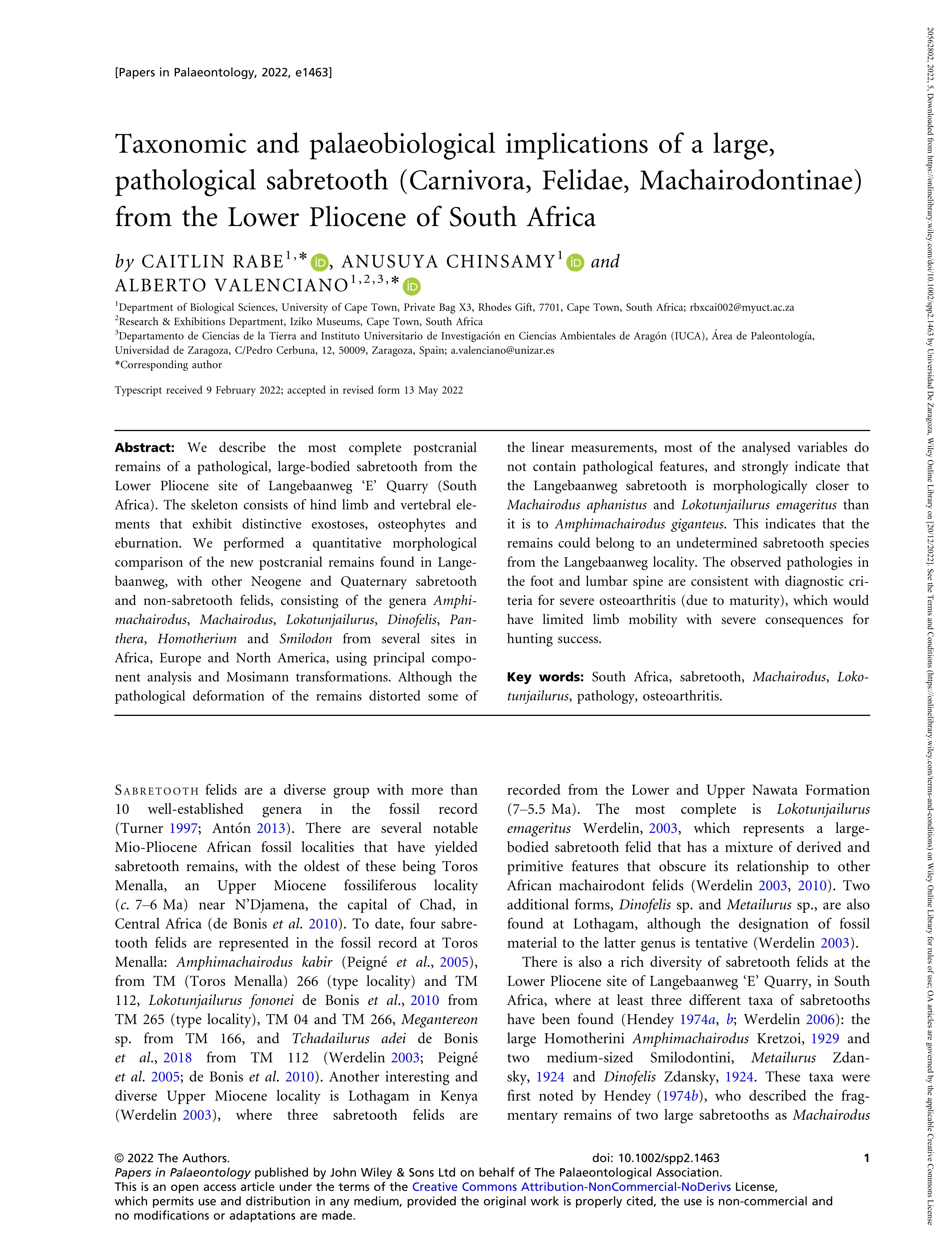 Taxonomic and palaeobiological implications of a large, pathological sabretooth (Carnivora, Felidae, Machairodontinae) from the Lower Pliocene of South Africa