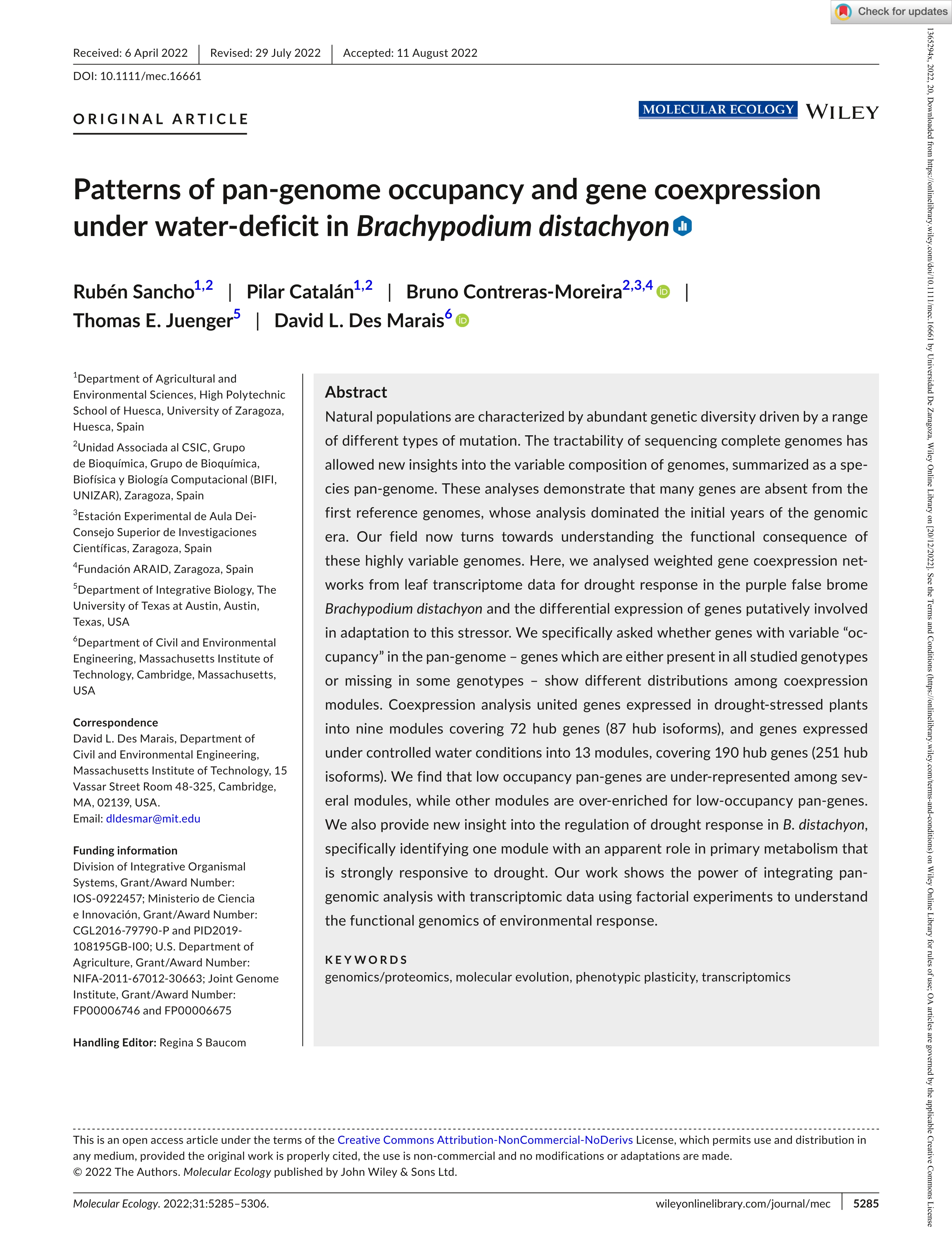 Patterns of pan-genome occupancy and gene coexpression under water-deficit in Brachypodium distachyon