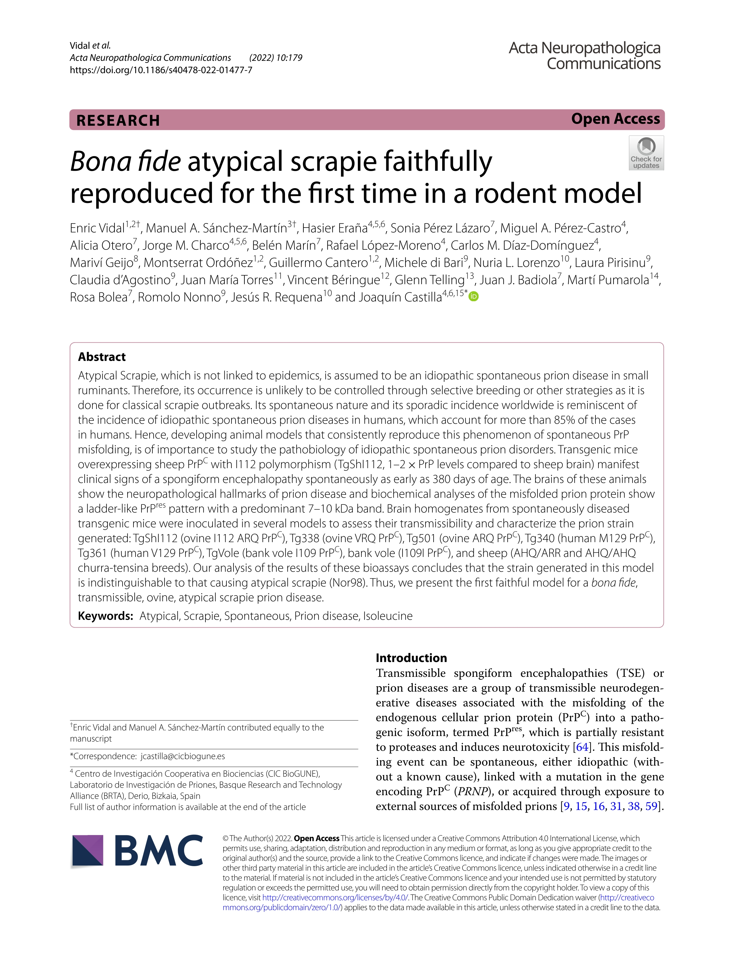 Bona fide atypical scrapie faithfully reproduced for the first time in a rodent model