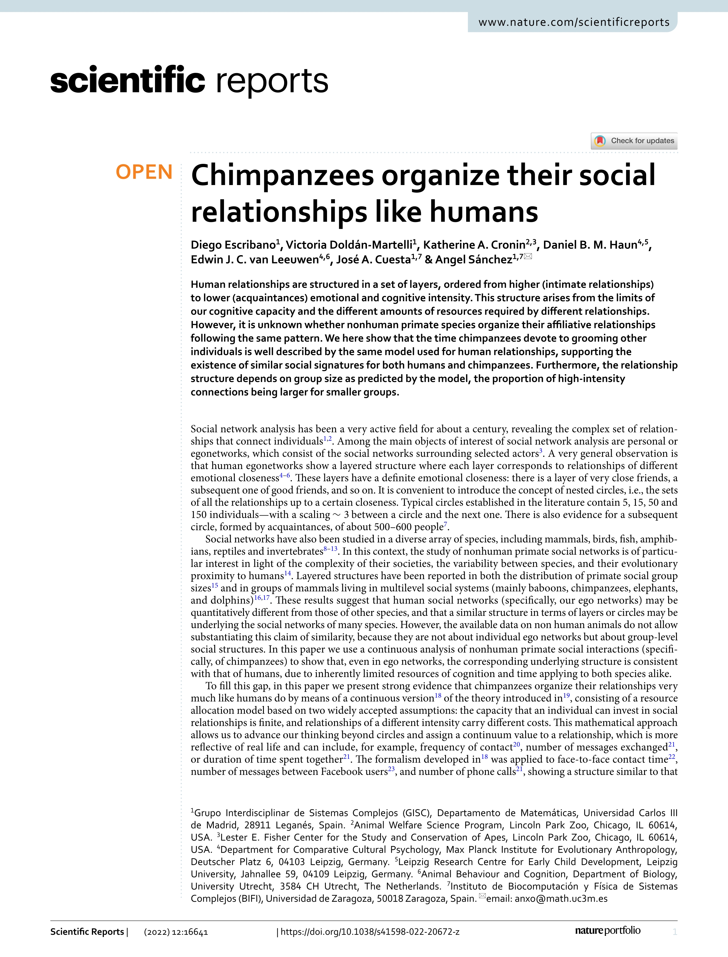 Chimpanzees organize their social relationships like humans