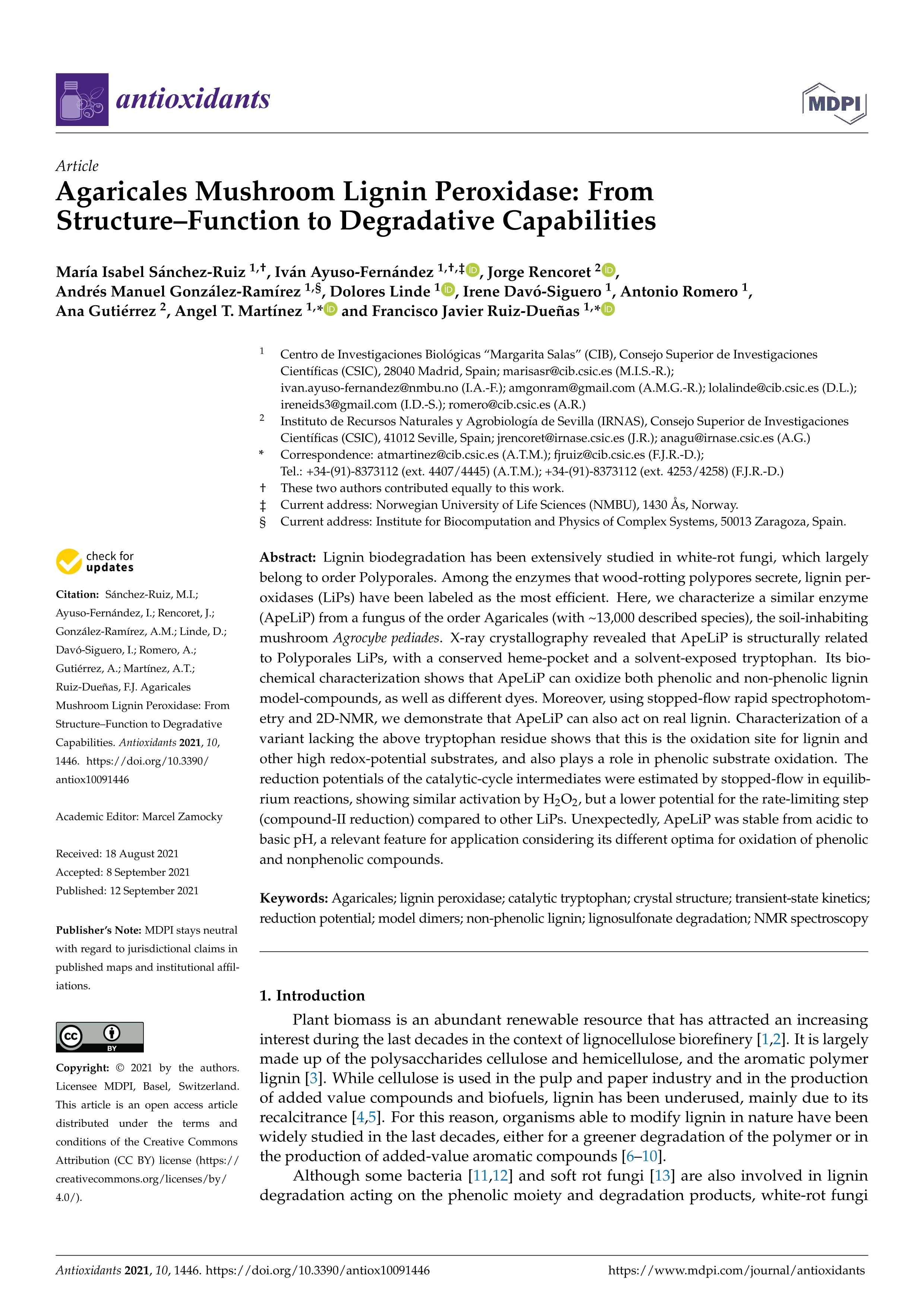 Agaricales mushroom lignin peroxidase: from structure–function to degradative capabilities