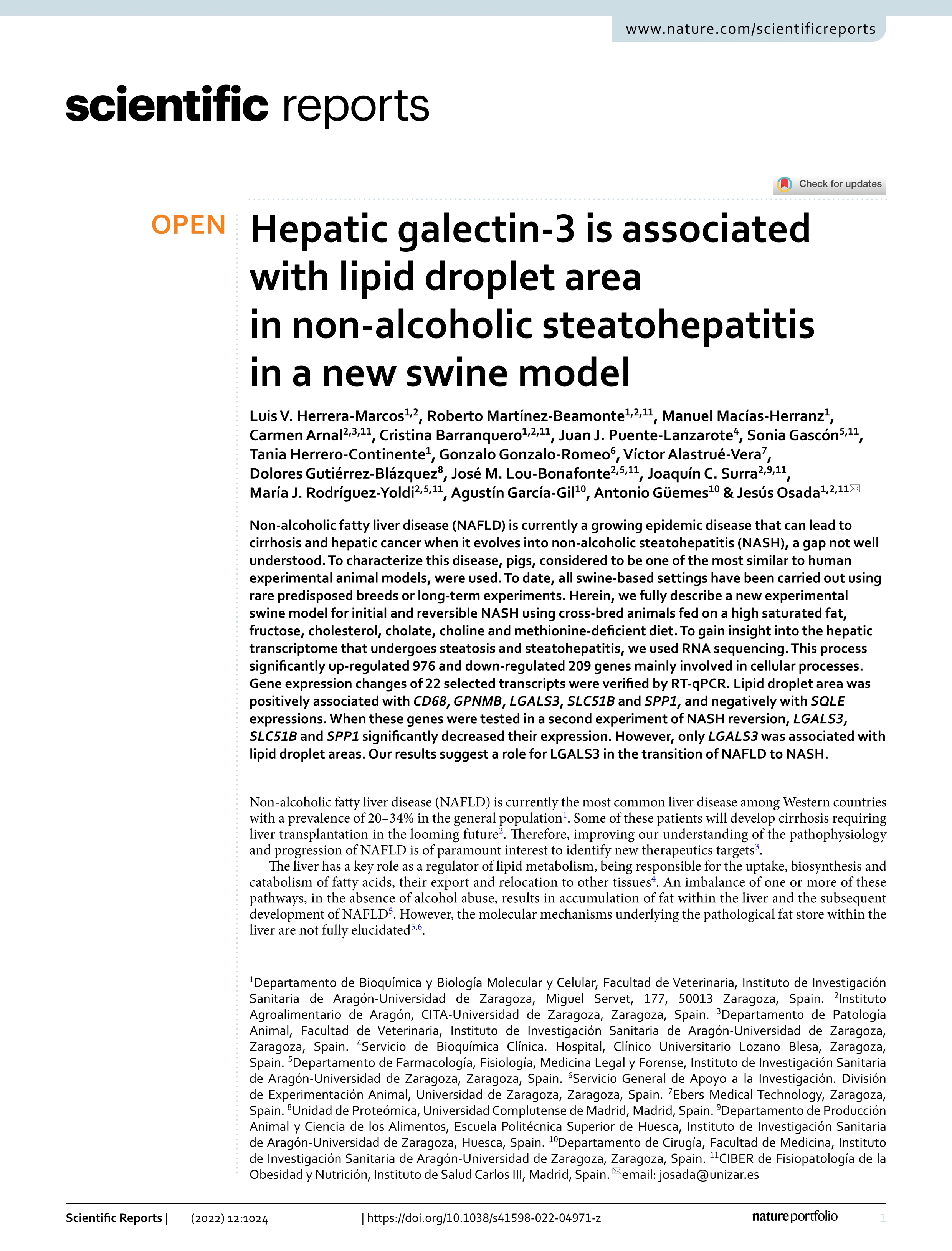Hepatic galectin-3 is associated with lipid droplet area in non-alcoholic steatohepatitis in a new swine model