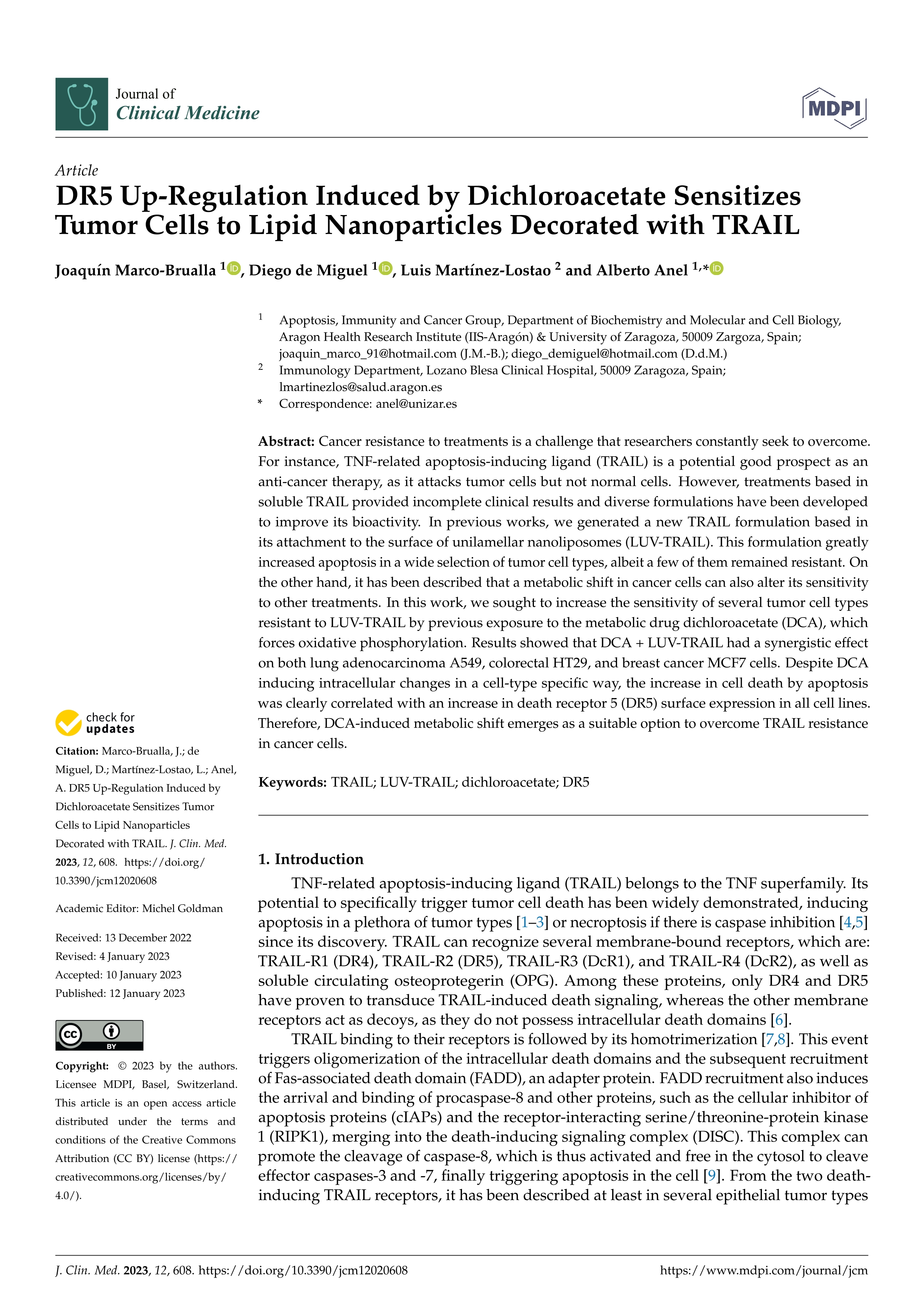 DR5 Up-Regulation Induced by Dichloroacetate Sensitizes Tumor Cells to Lipid Nanoparticles Decorated with TRAIL