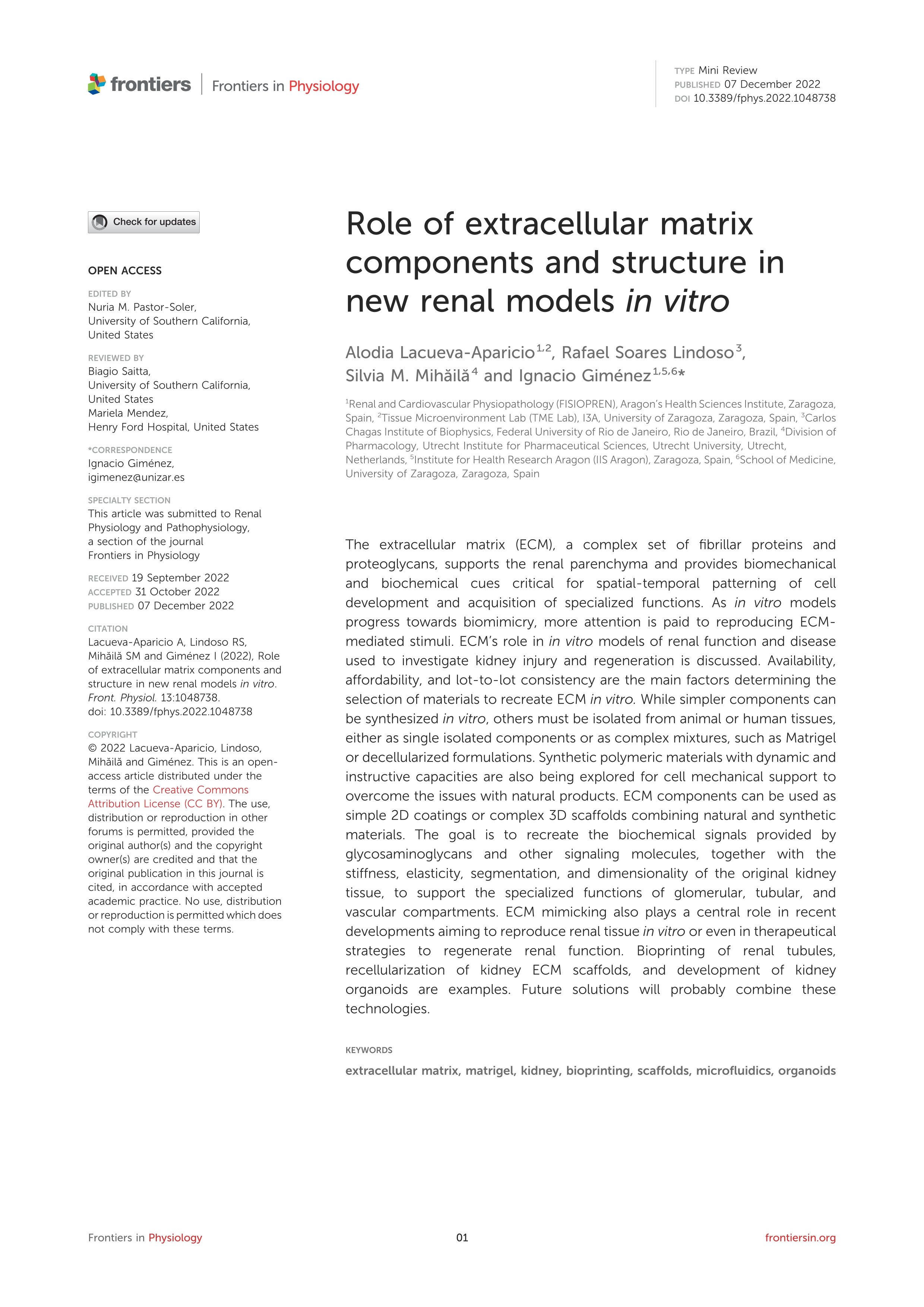 Role of extracellular matrix components and structure in new renal models in vitro