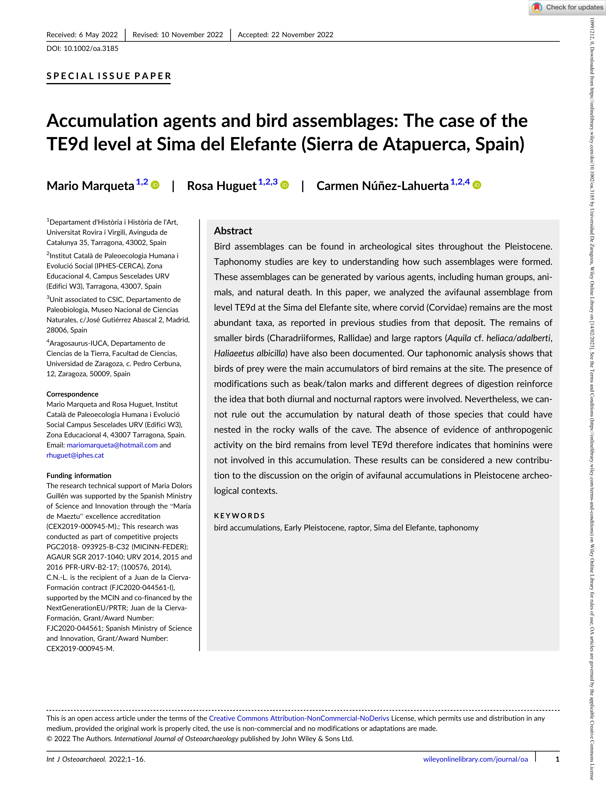 Accumulation agents and bird assemblages: The case of the TE9d level at Sima del Elefante (Sierra de Atapuerca, Spain)