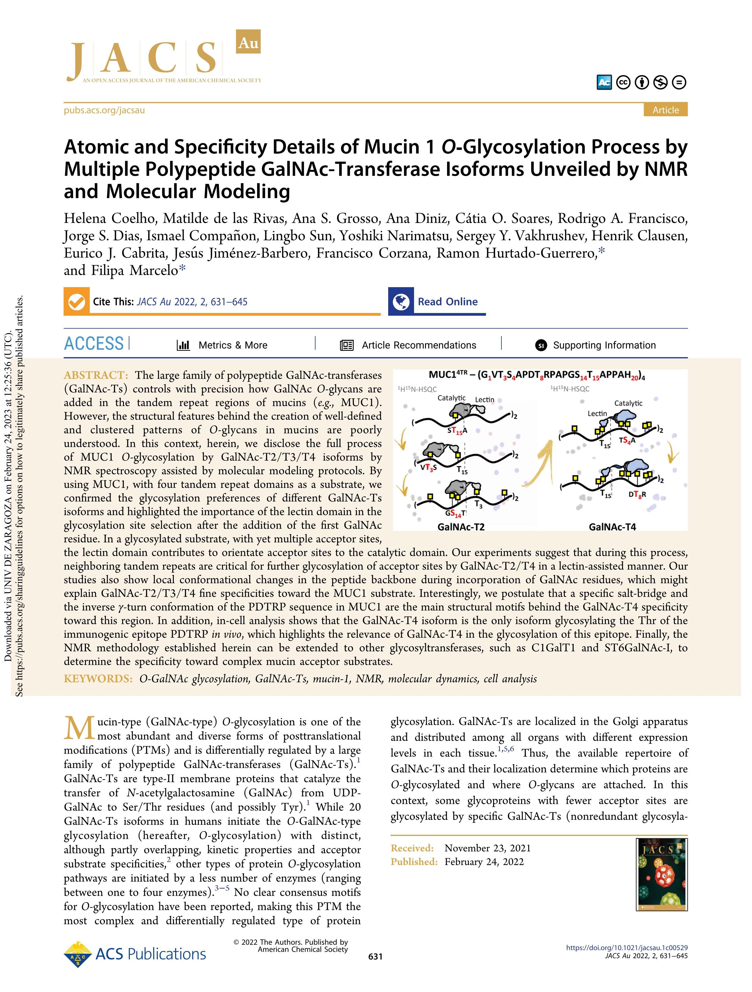 Atomic and specificity details of Mucin 1 O-Glycosylation process by Multiple Polypeptide GalNAc-Transferase Isoforms unveiled by NMR and Molecular Modeling