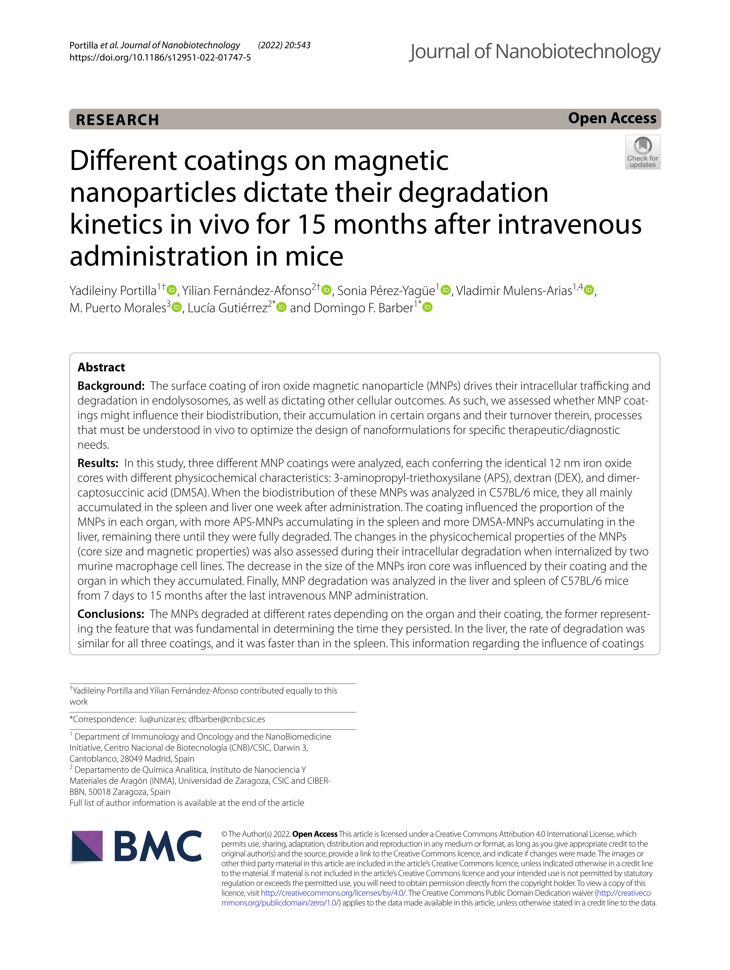 Different coatings on magnetic nanoparticles dictate their degradation kinetics in vivo for 15 months after intravenous administration in mice