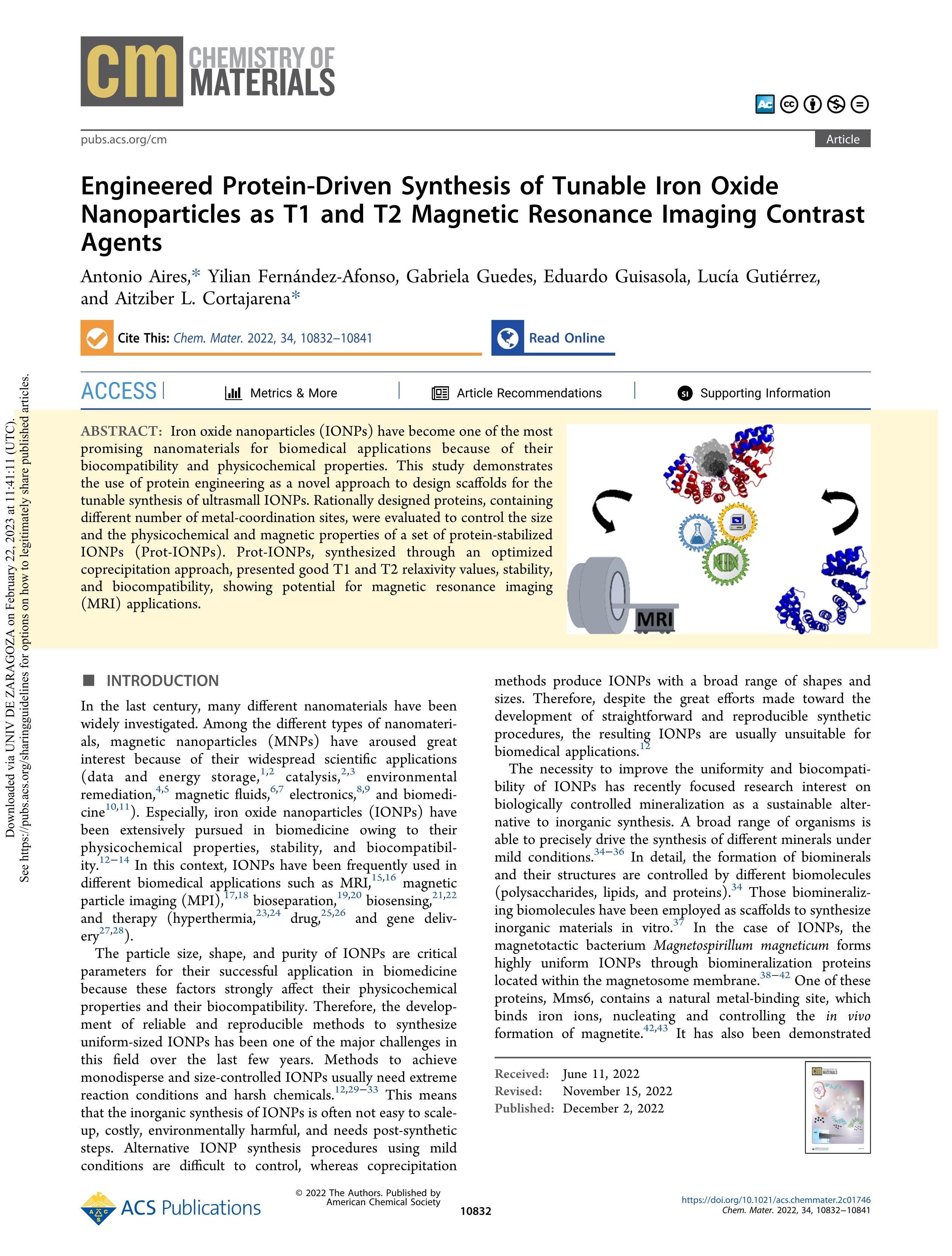 Engineered protein-driven synthesis of tunable iron oxide nanoparticles as T1 and T2 magnetic resonance imaging contrast agents