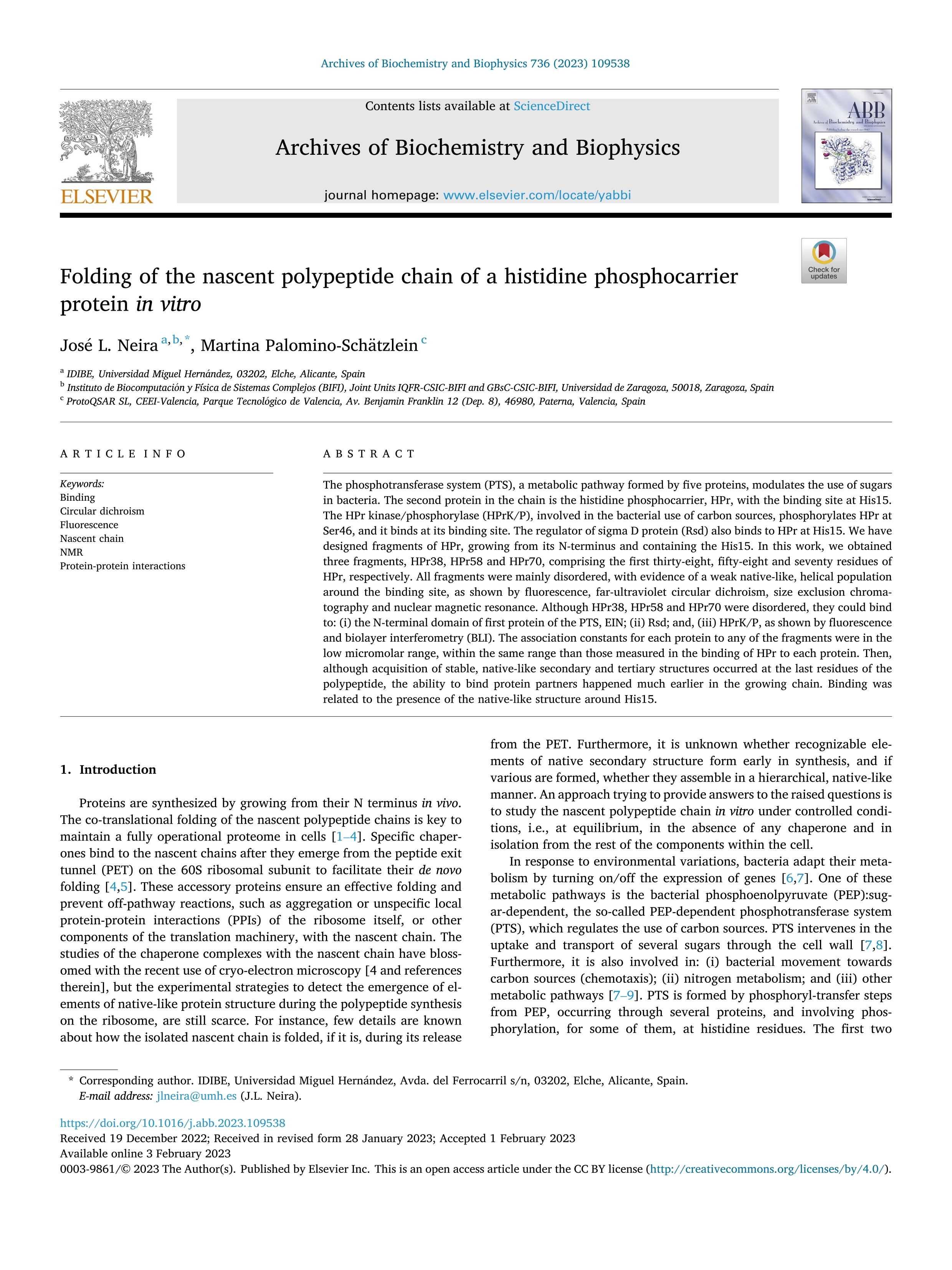 Folding of the nascent polypeptide chain of a histidine phosphocarrier protein in vitro