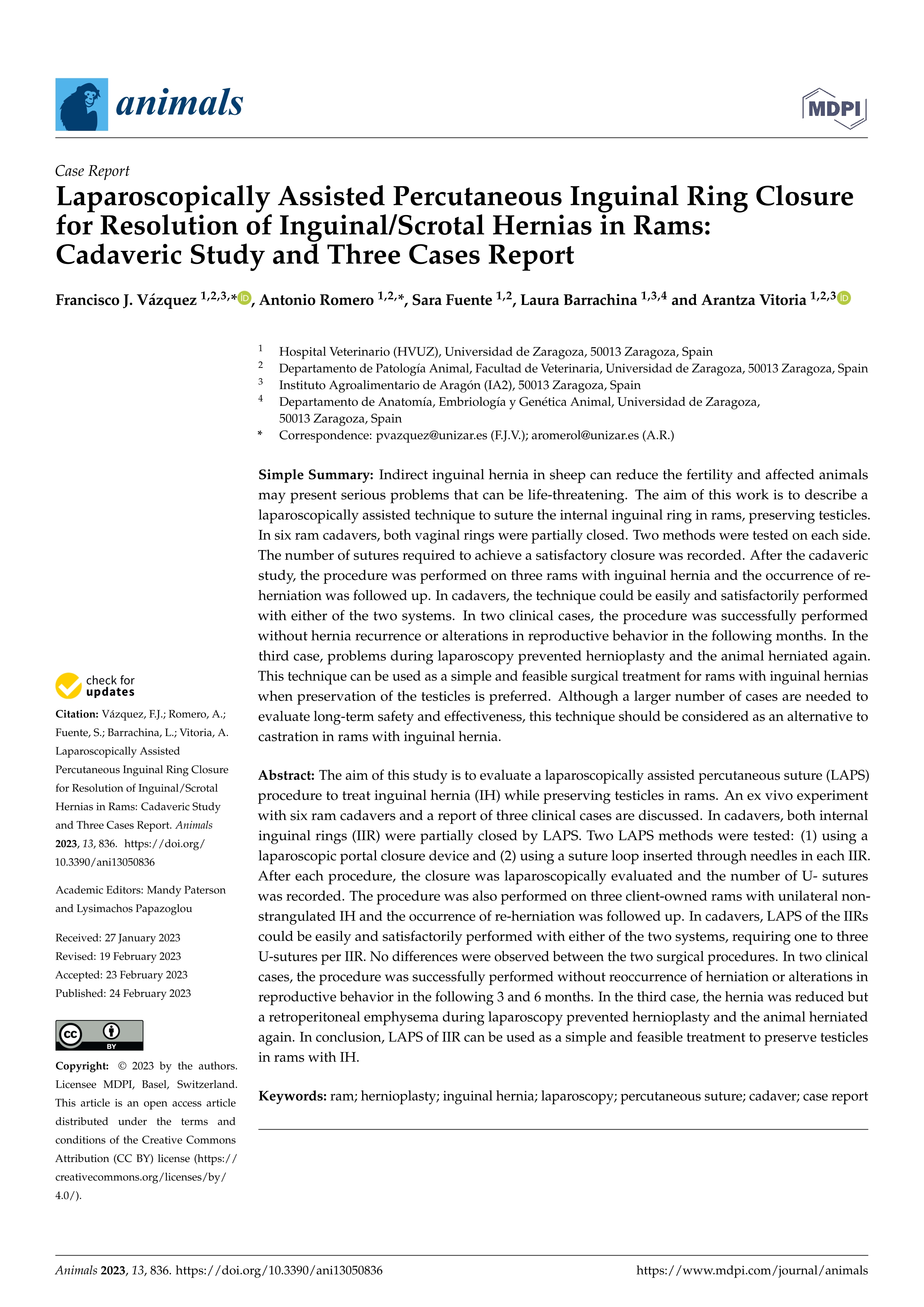 Laparoscopically assisted percutaneous inguinal ring closure for resolution of inguinal/scrotal hernias in rams: cadaveric study and three cases report