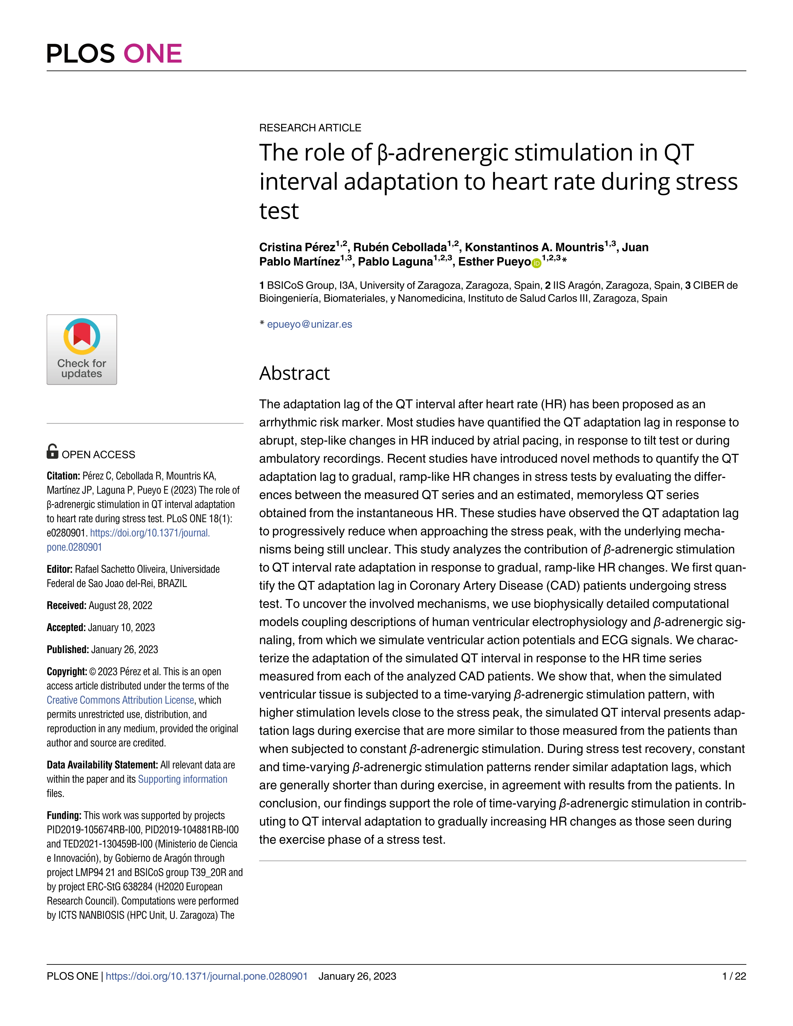 The role of ß-adrenergic stimulation in QT interval adaptation to heart rate during stress test