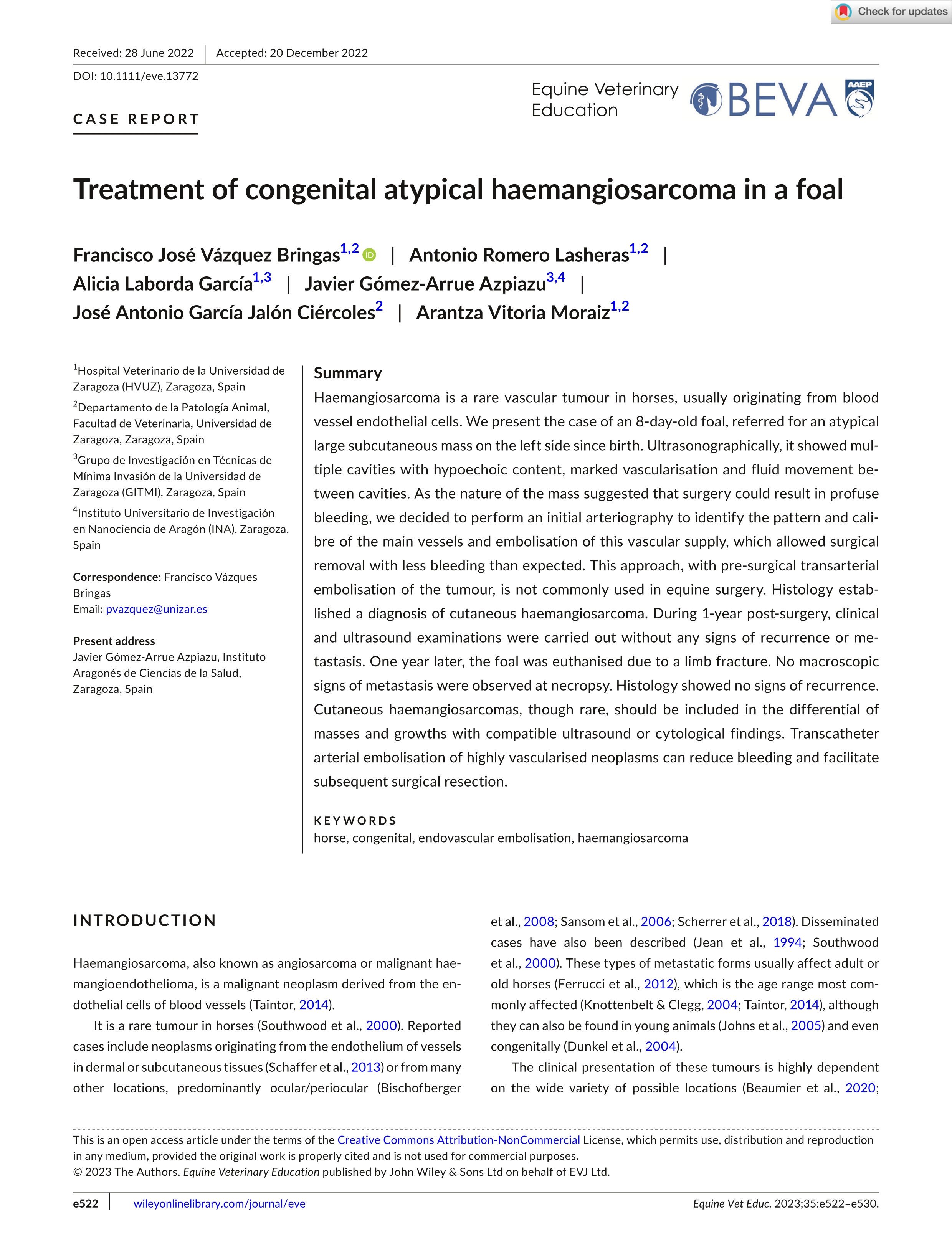 Treatment of congenital atypical haemangiosarcoma in a foal