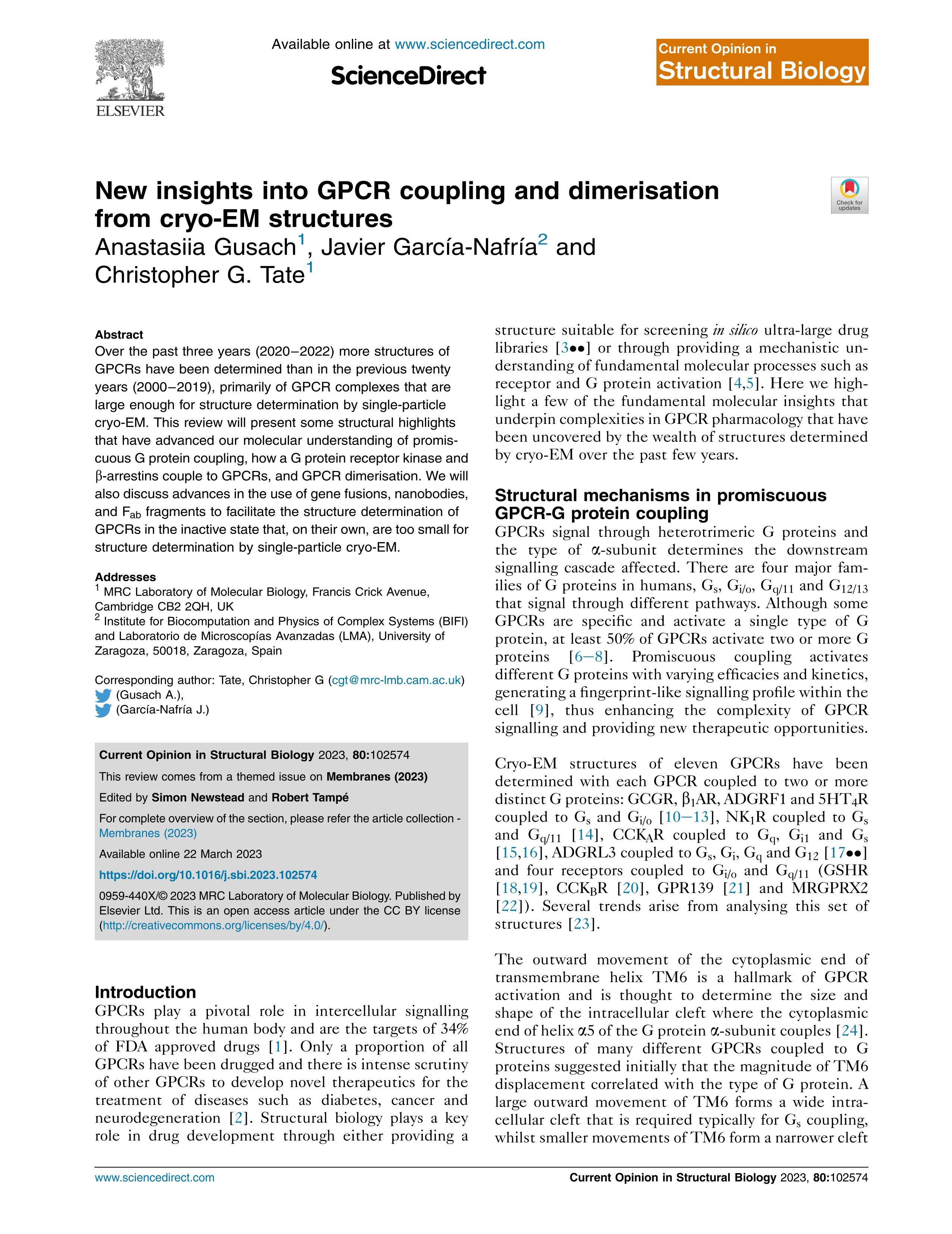 New insights into GPCR coupling and dimerisation from cryo-EM structures