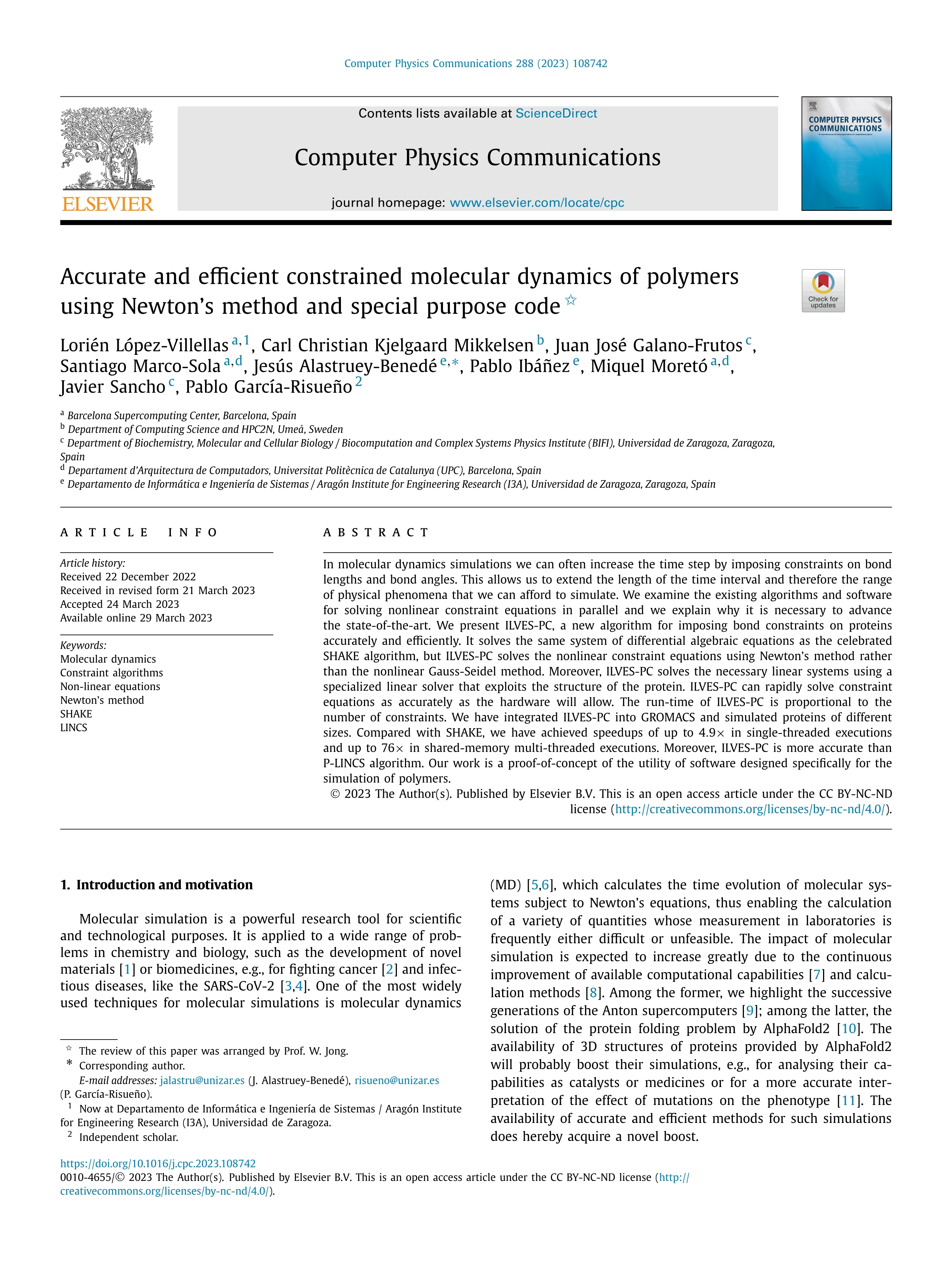 Accurate and efficient constrained molecular dynamics of polymers using Newton's method and special purpose code