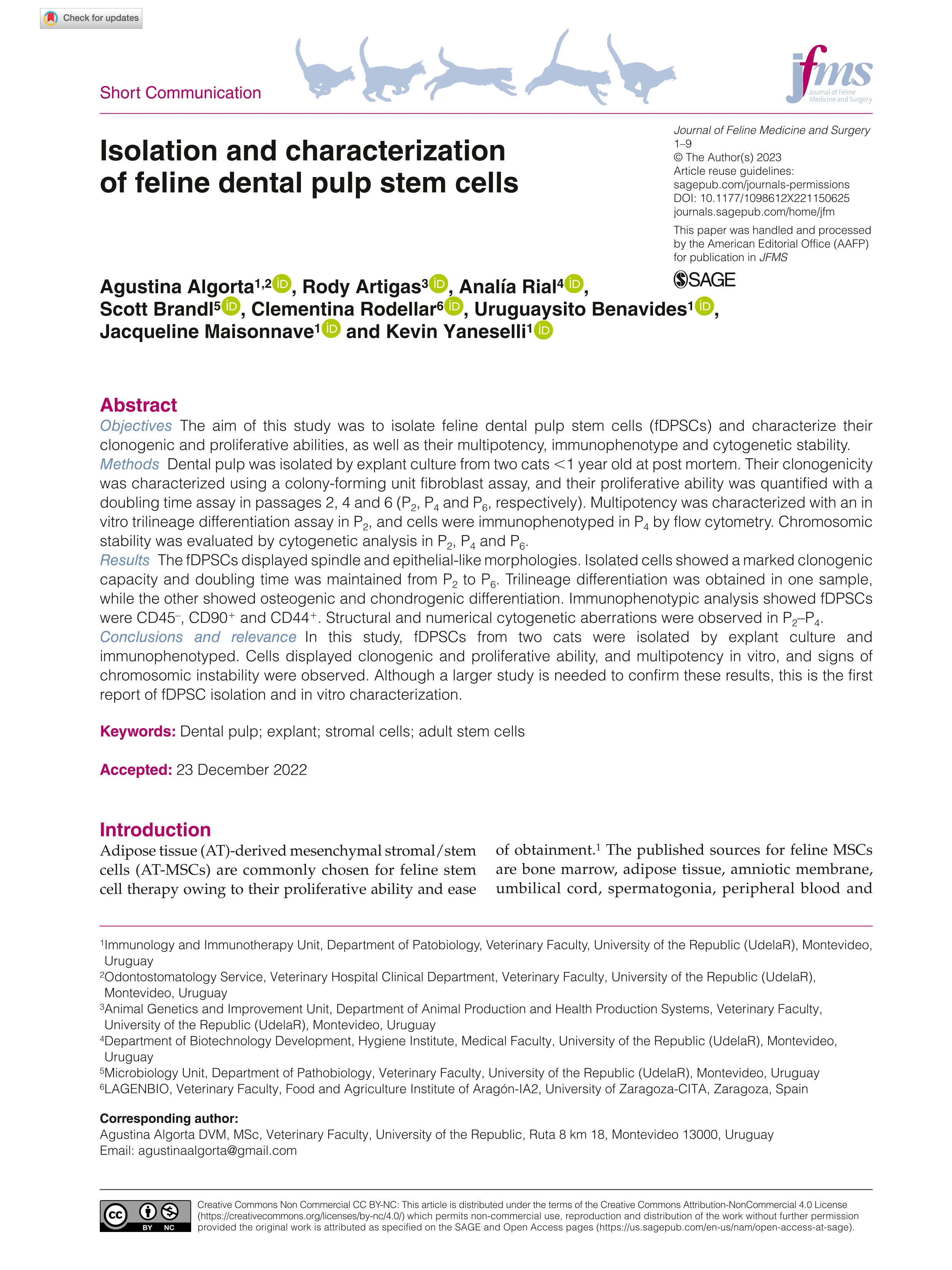 Isolation and characterization of feline dental pulp stem cells