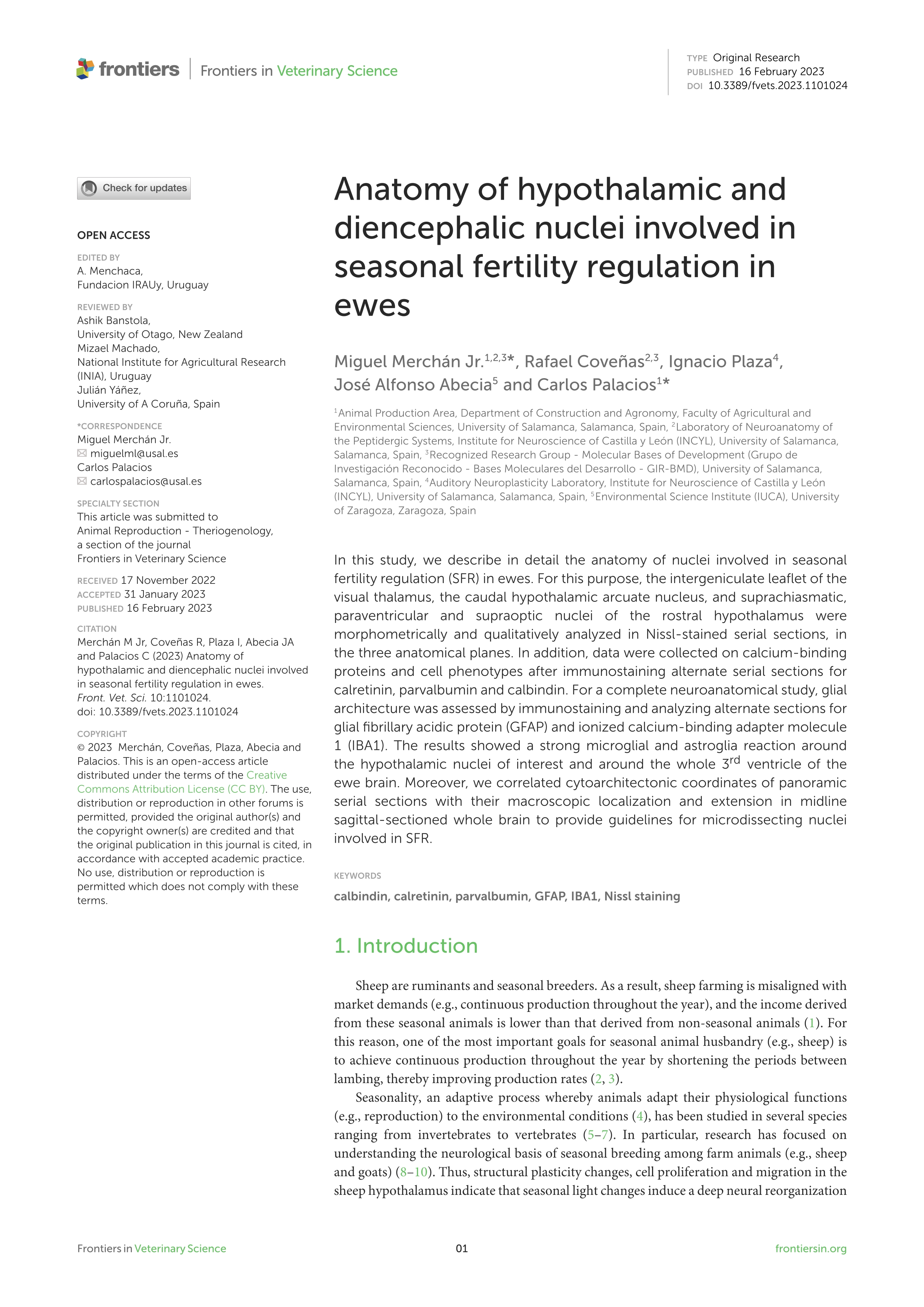 Anatomy of hypothalamic and diencephalic nuclei involved in seasonal fertility regulation in ewes