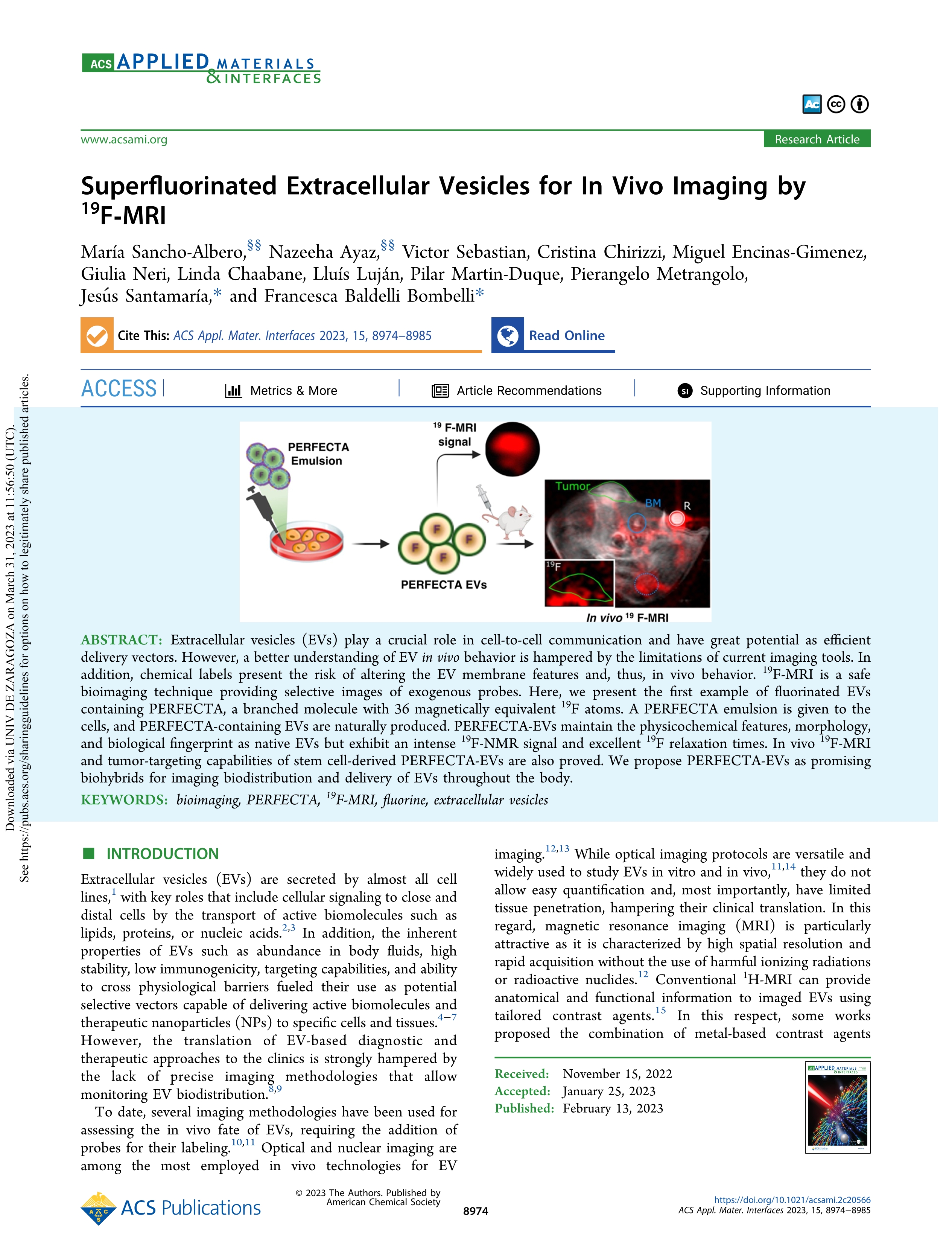 Superfluorinated extracellular vesicles for in vivo imaging by 19f-mri