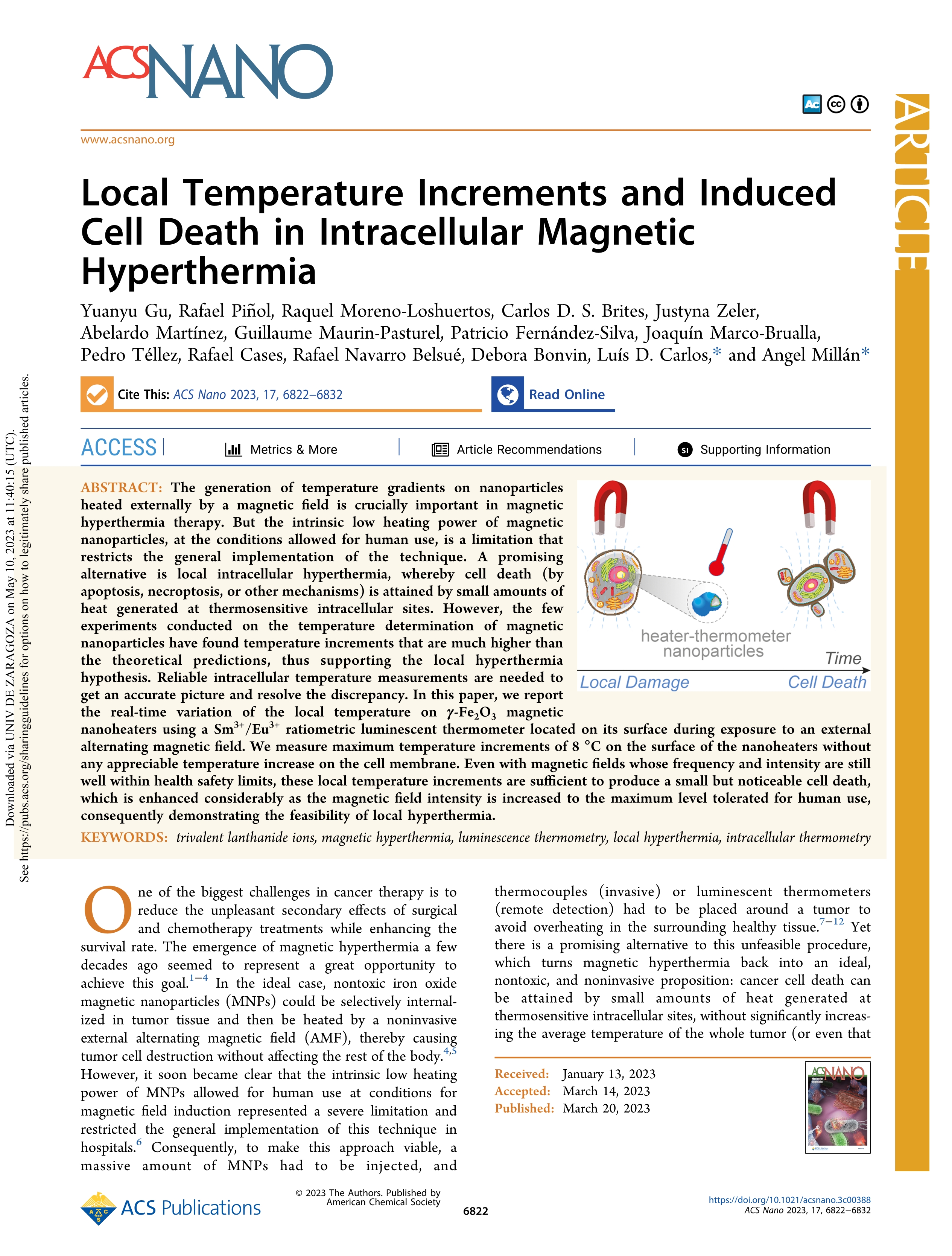 Local temperature increments and induced cell death in intracellular magnetic hyperthermia