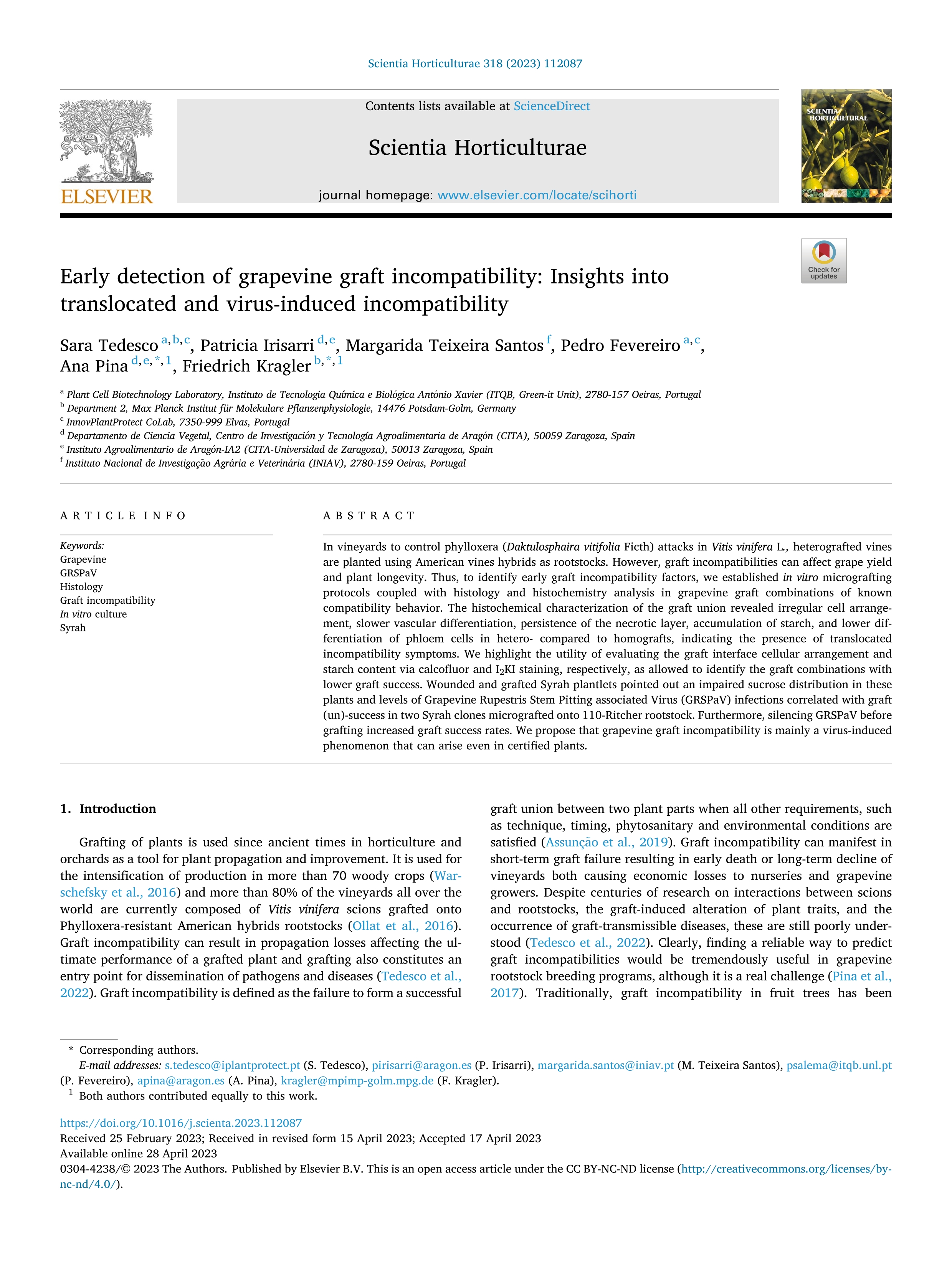 Early detection of grapevine graft incompatibility: insights into translocated and virus-induced incompatibility