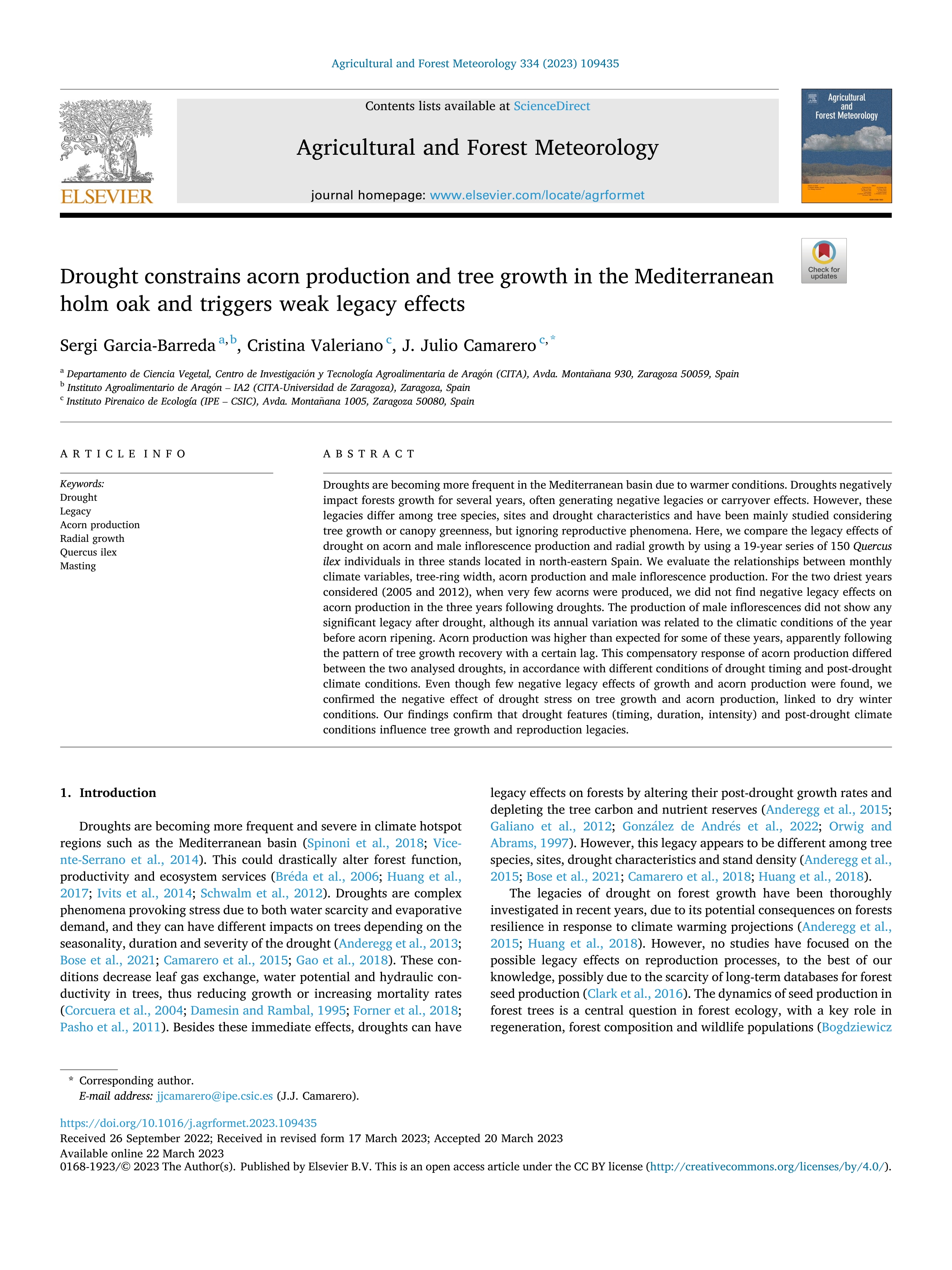 Drought constrains acorn production and tree growth in the Mediterranean holm oak and triggers weak legacy effects