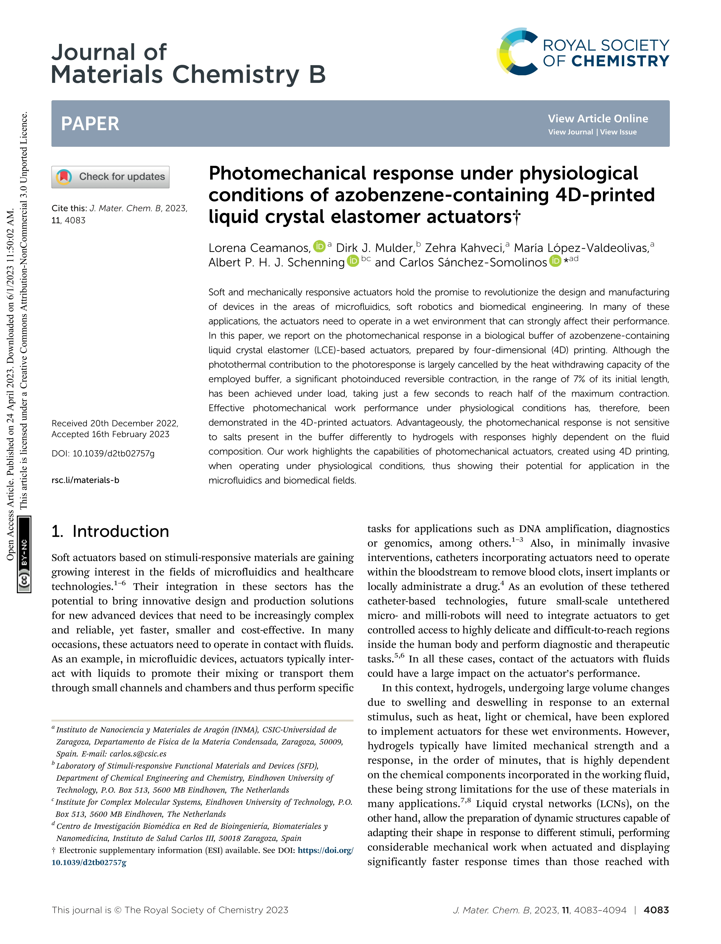 Photomechanical response under physiological conditions of azobenzene-containing 4D-printed liquid crystal elastomer actuators