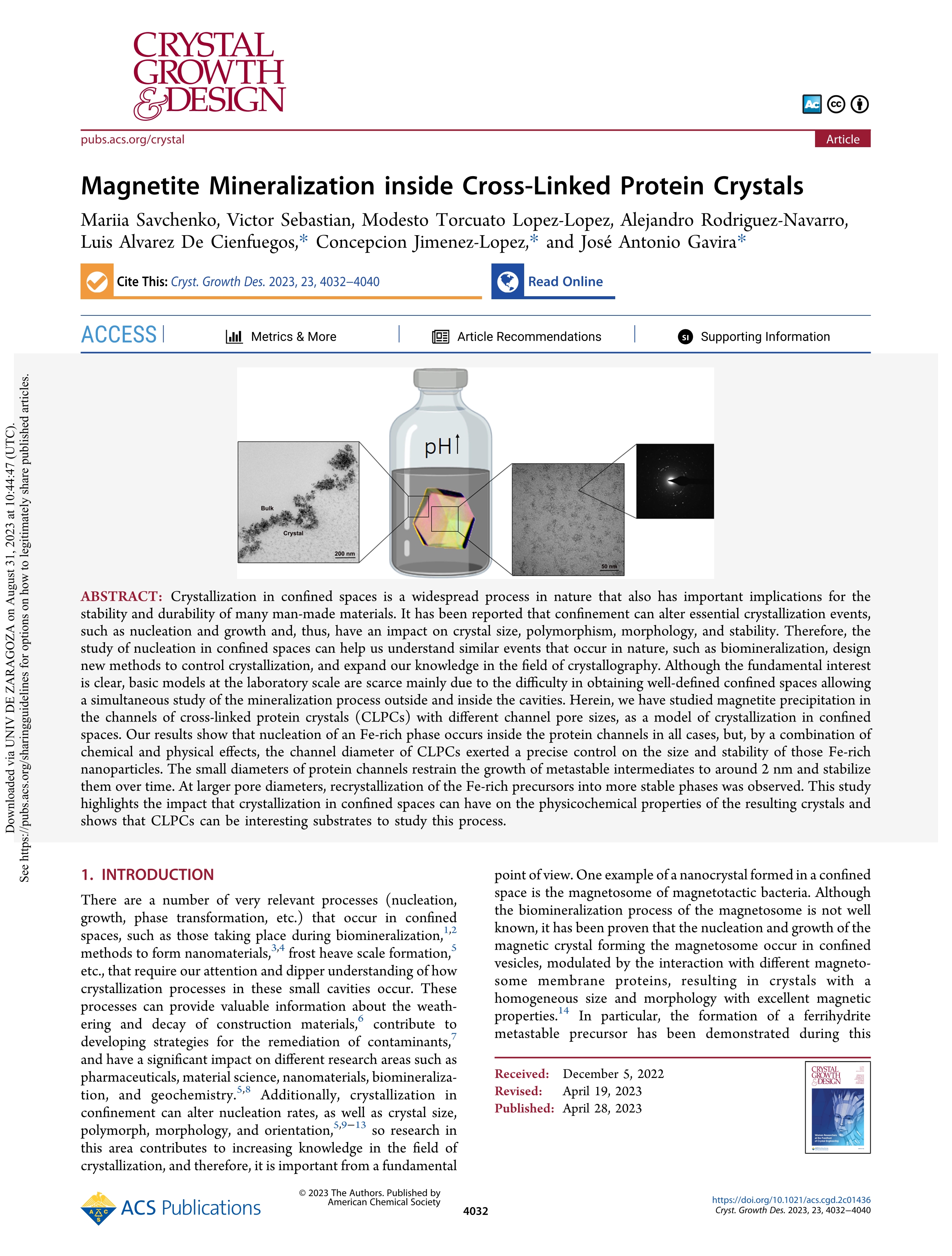 Magnetite mineralization inside cross-linked protein crystals