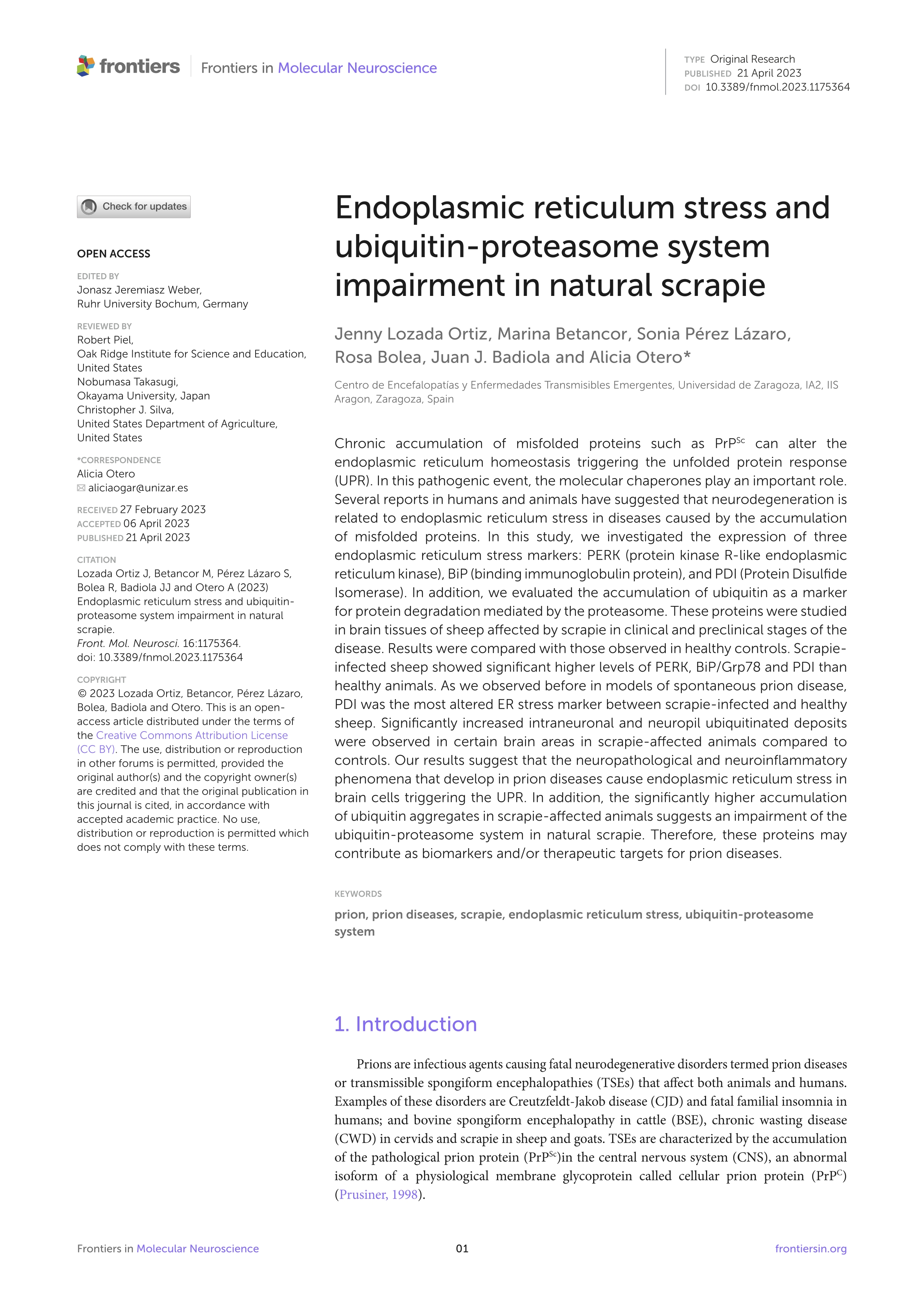 Endoplasmic reticulum stress and ubiquitin-proteasome system impairment in natural scrapie