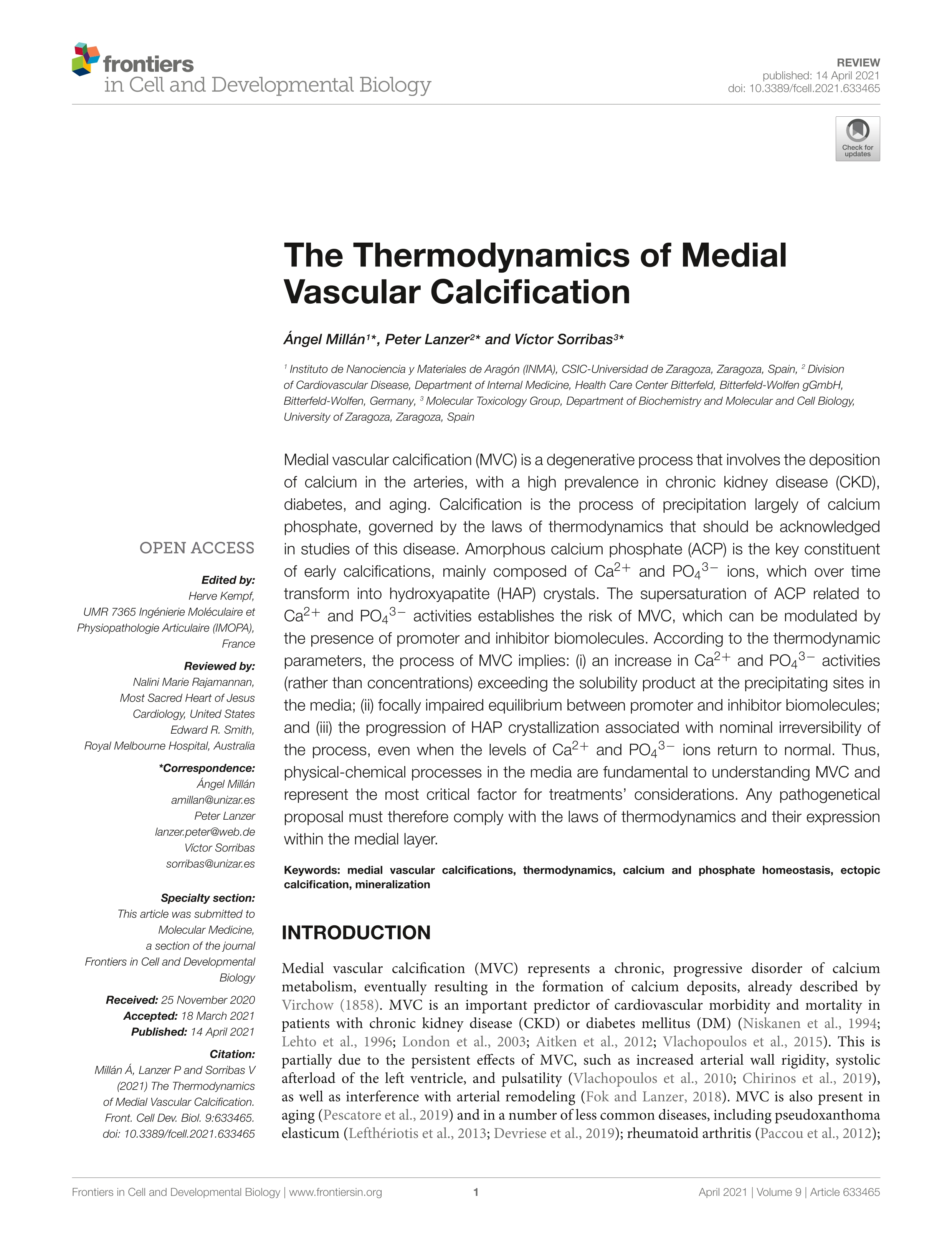 The thermodynamics of medial vascular calcification