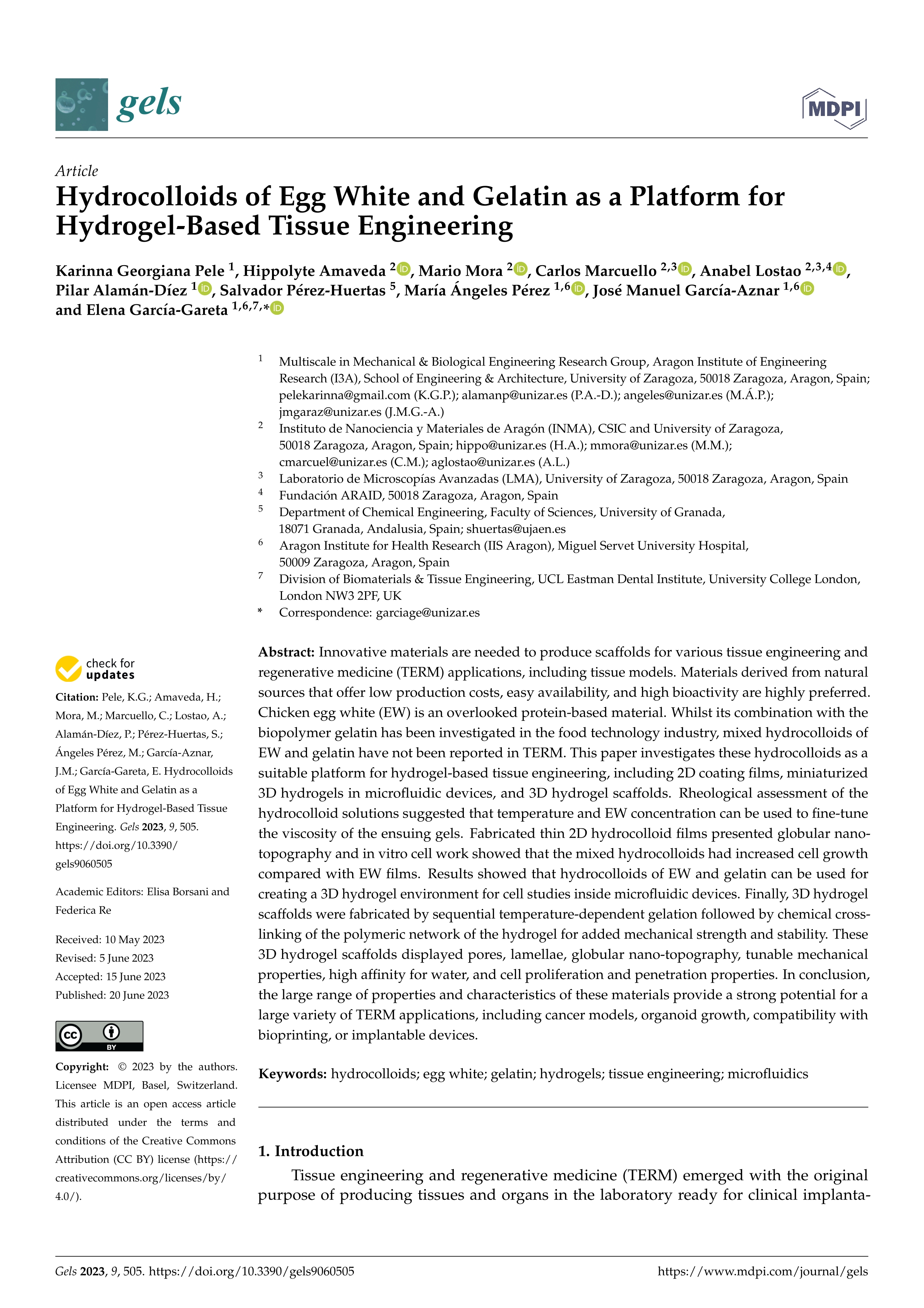 Hydrocolloids of egg white and gelatin as a platform for hydrogel-based tissue engineering