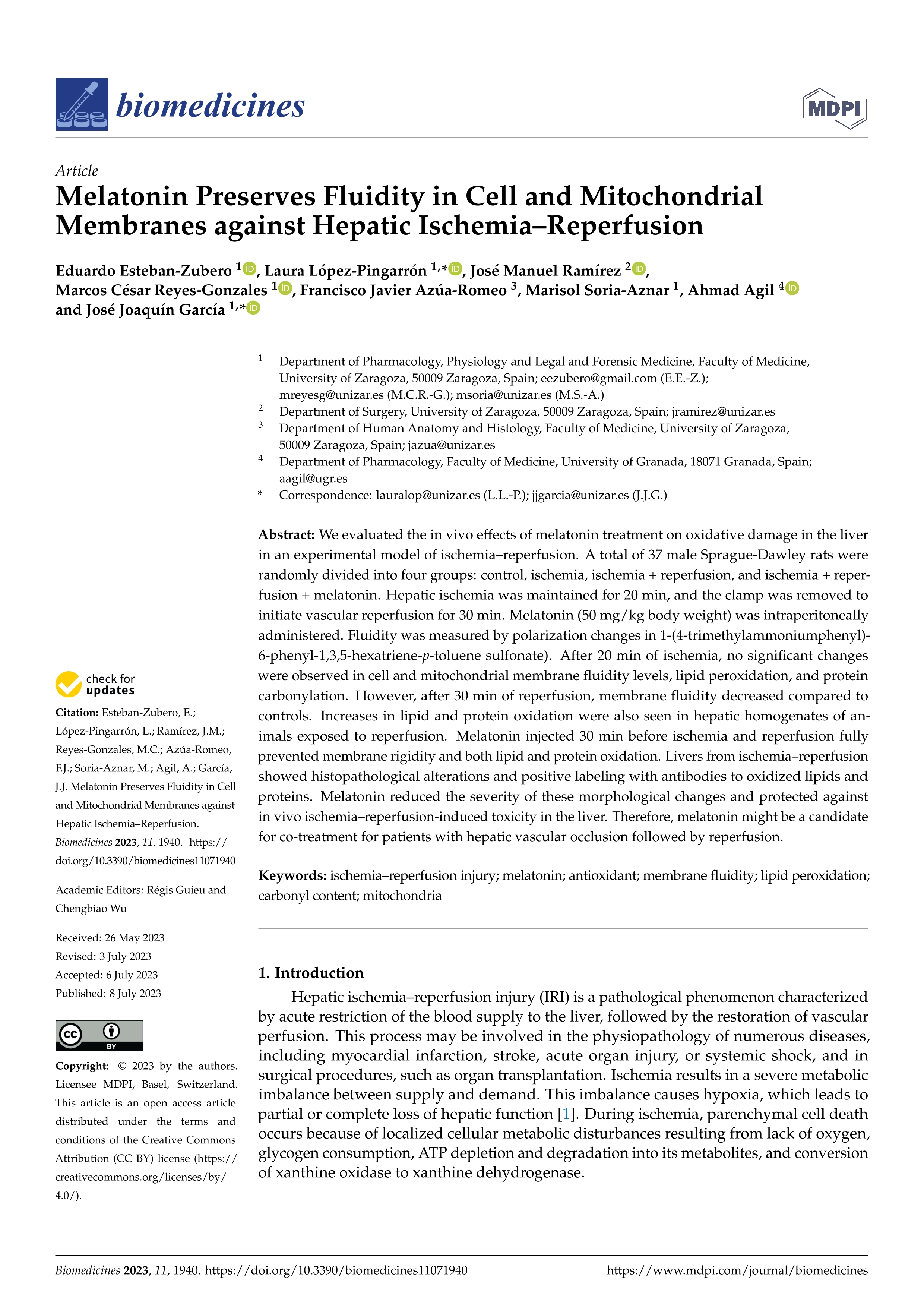 Melatonin preserves fluidity in cell and mitochondrial membranes against hepatic ischemia–reperfusion
