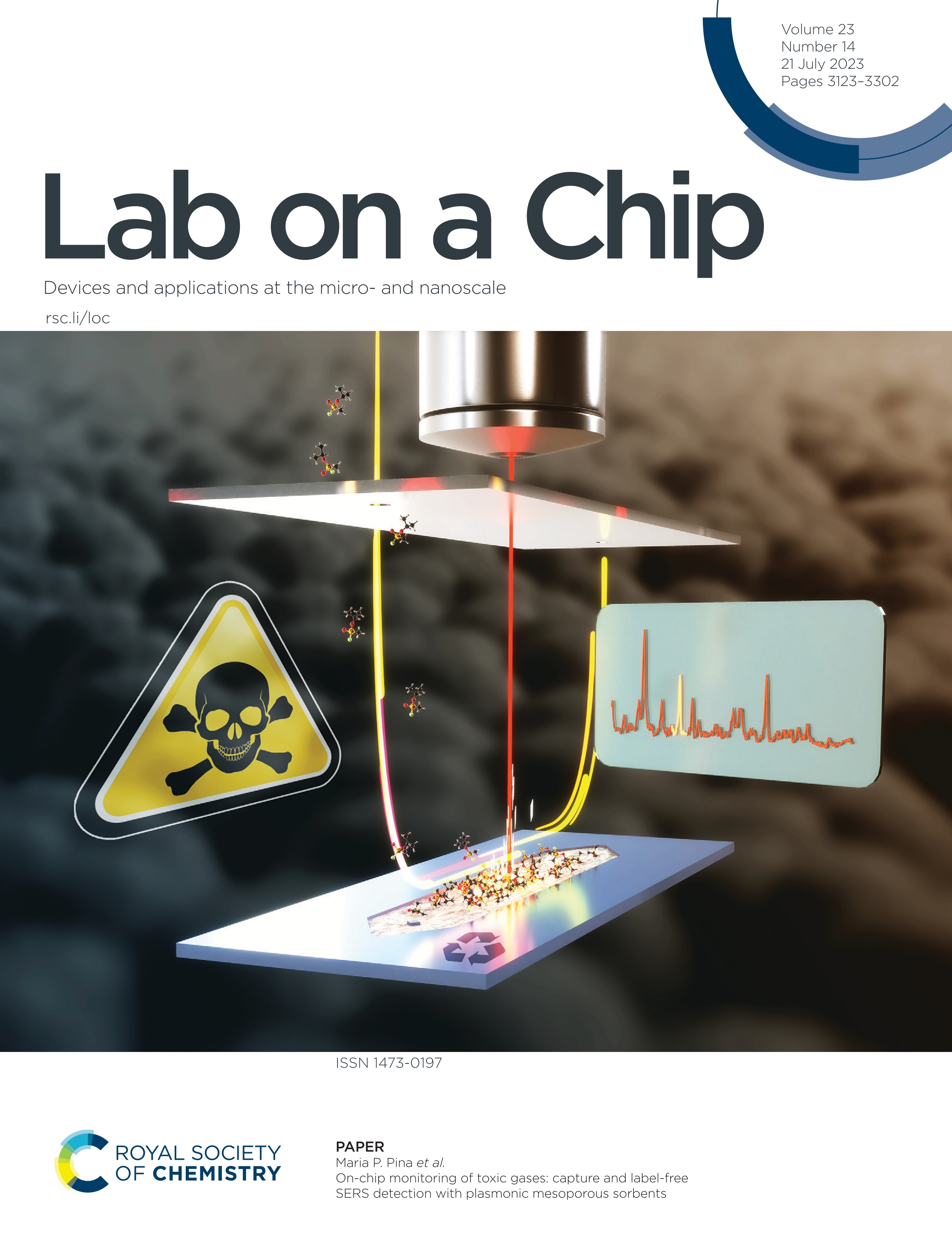 On-chip monitoring of toxic gases: capture and label-free SERS detection with plasmonic mesoporous sorbents