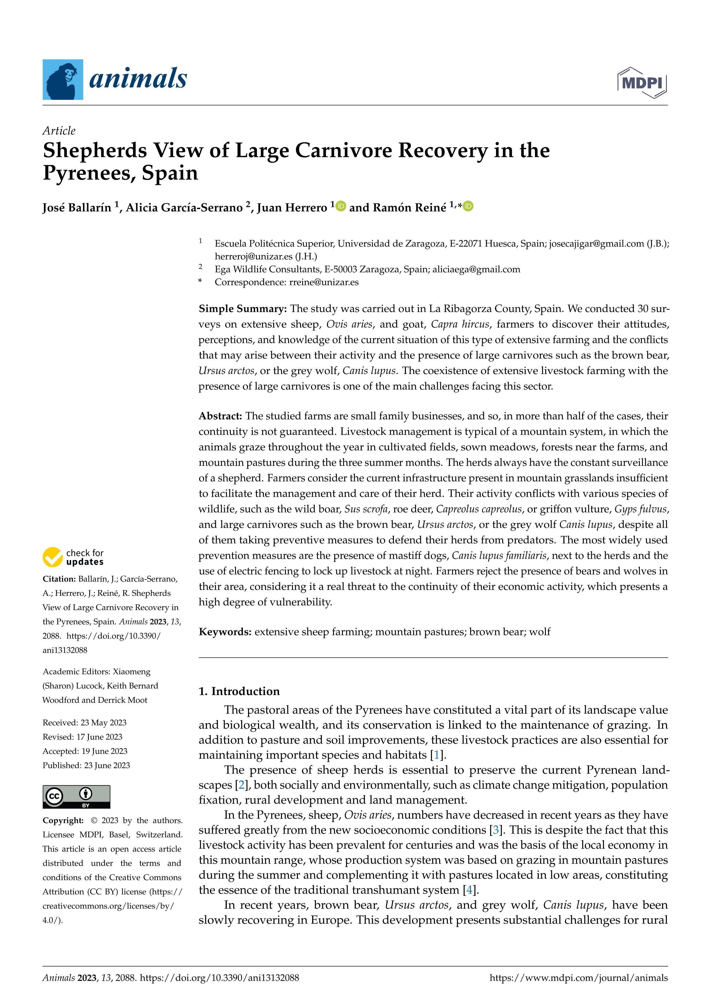 Shepherds view of large carnivore recovery in the Pyrenees, Spain