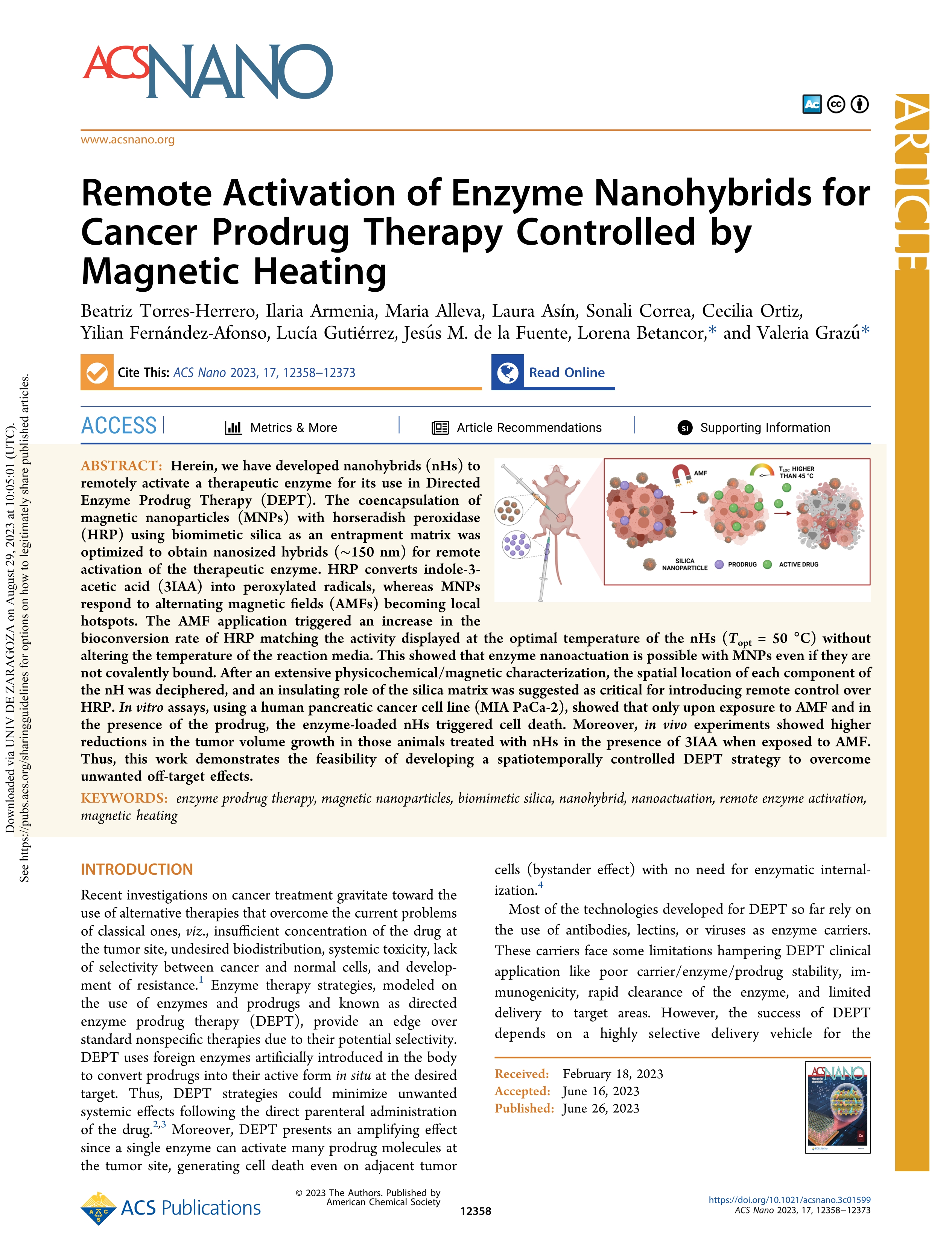 Remote activation of enzyme nanohybrids for cancer prodrug therapy controlled by magnetic heating