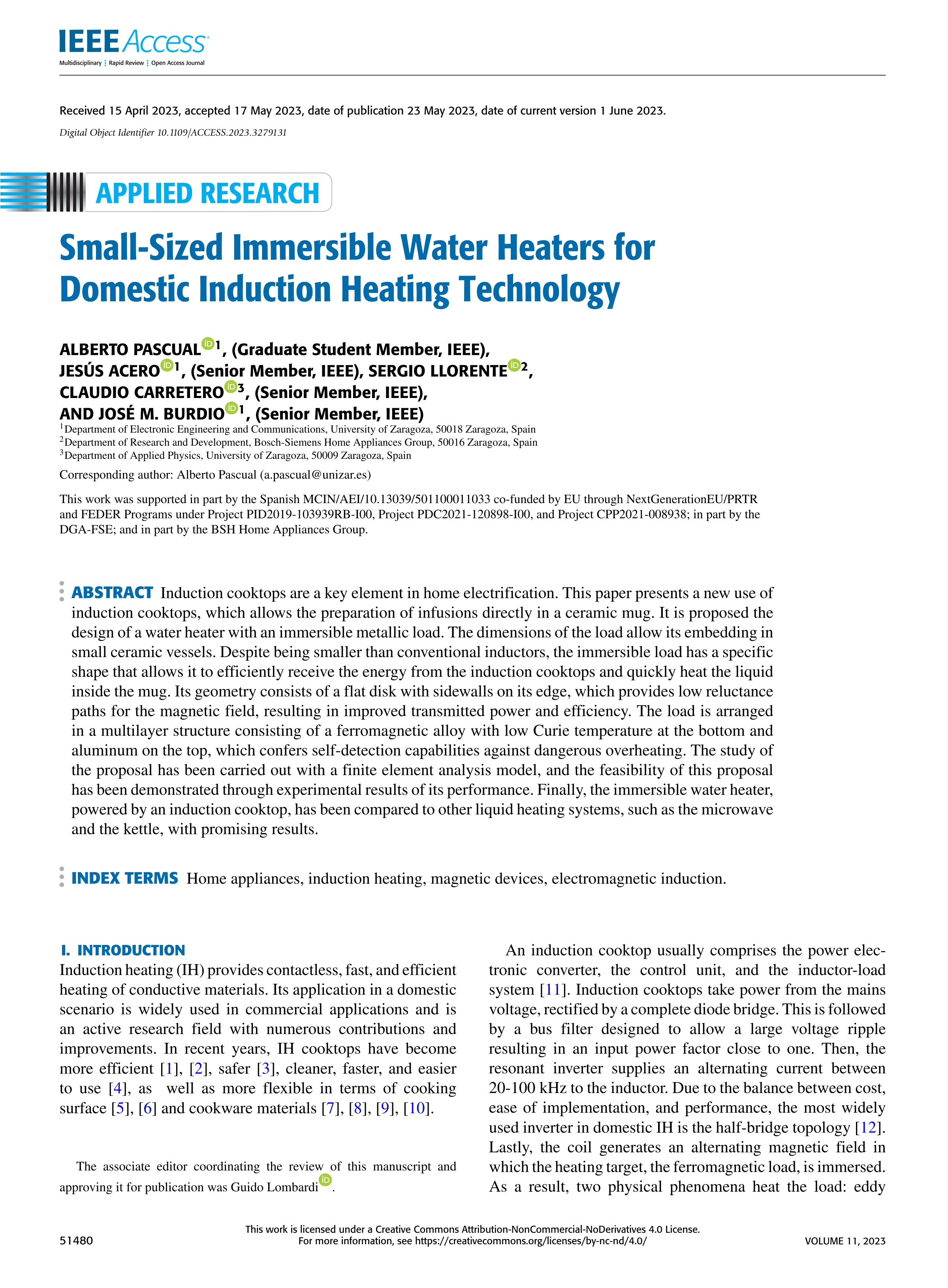 Small-sized immersible water heaters for domestic induction heating technology