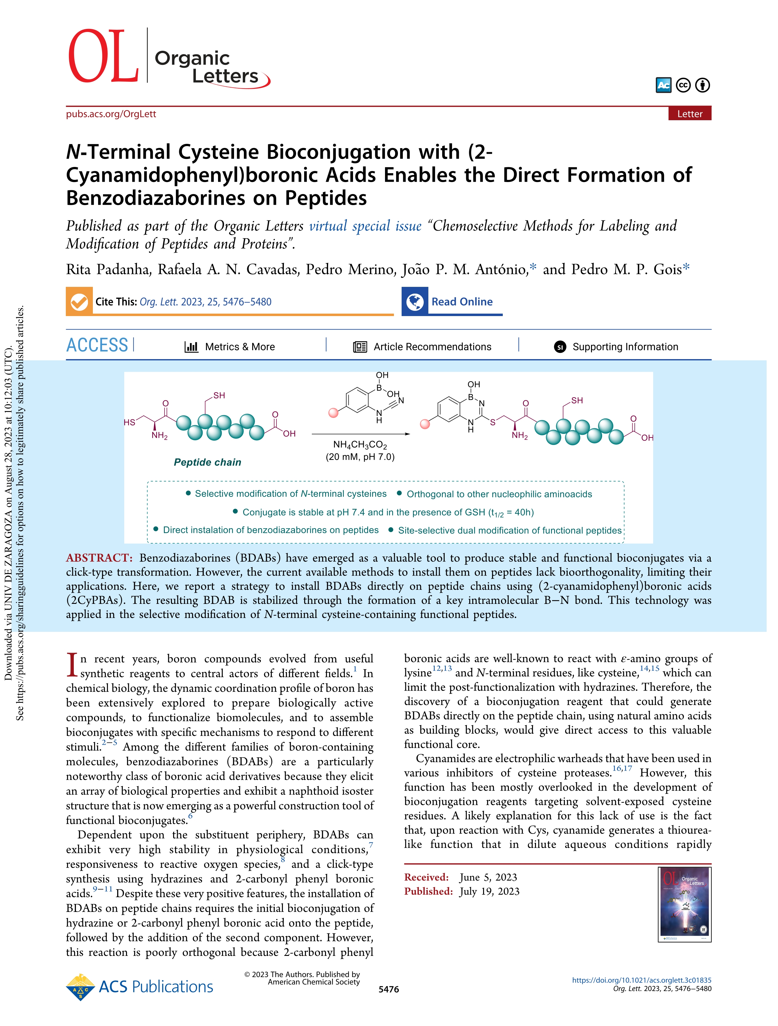 N-terminal cysteine bioconjugation with (2-cyanamidophenyl)boronic acids enables the direct formation of benzodiazaborines on peptides