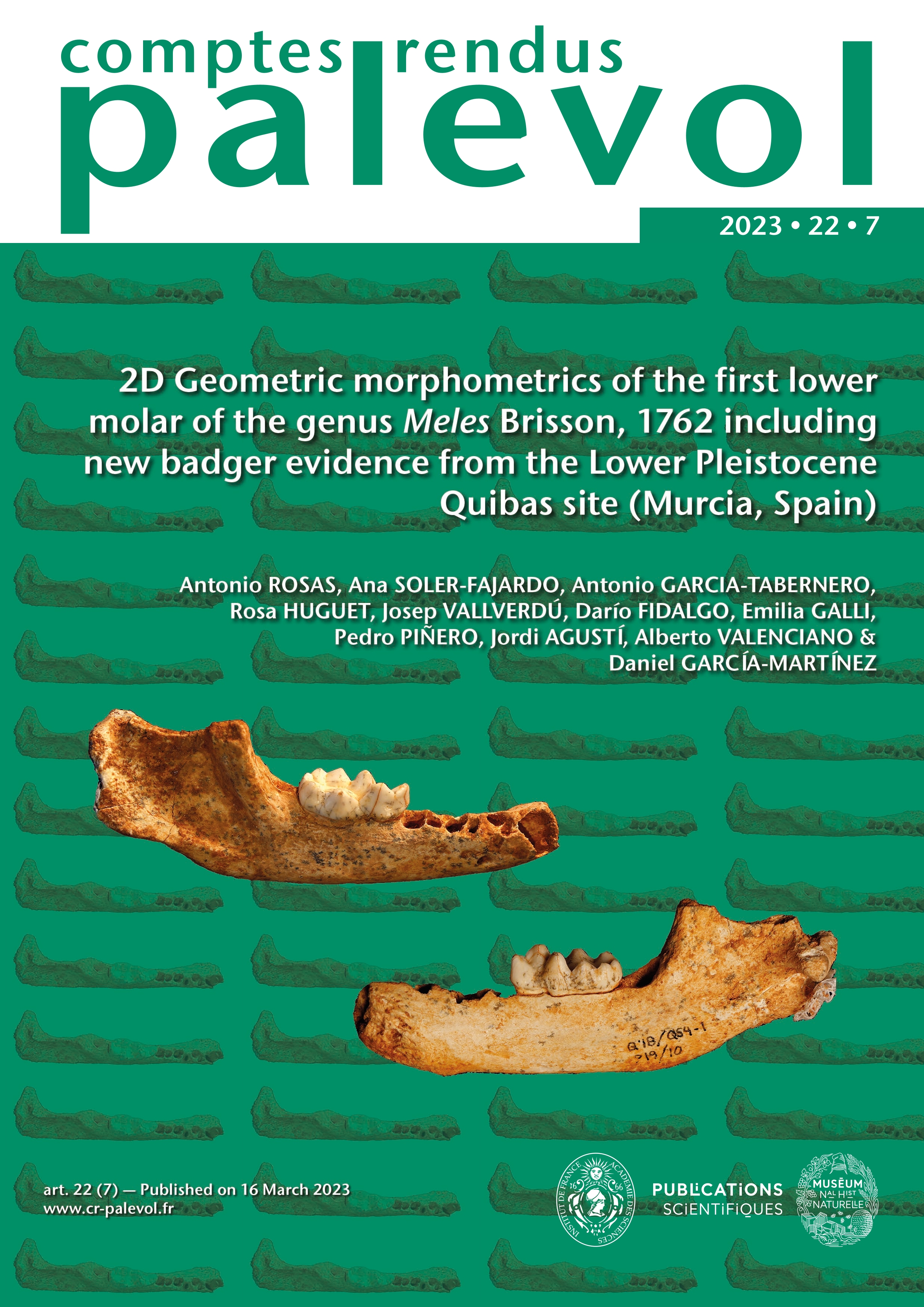 2D Geometric morphometrics of the first lower molar of the genus Meles Brisson, 1762 including new badger evidence from the Lower Pleistocene Quibas site (Murcia, Spain)