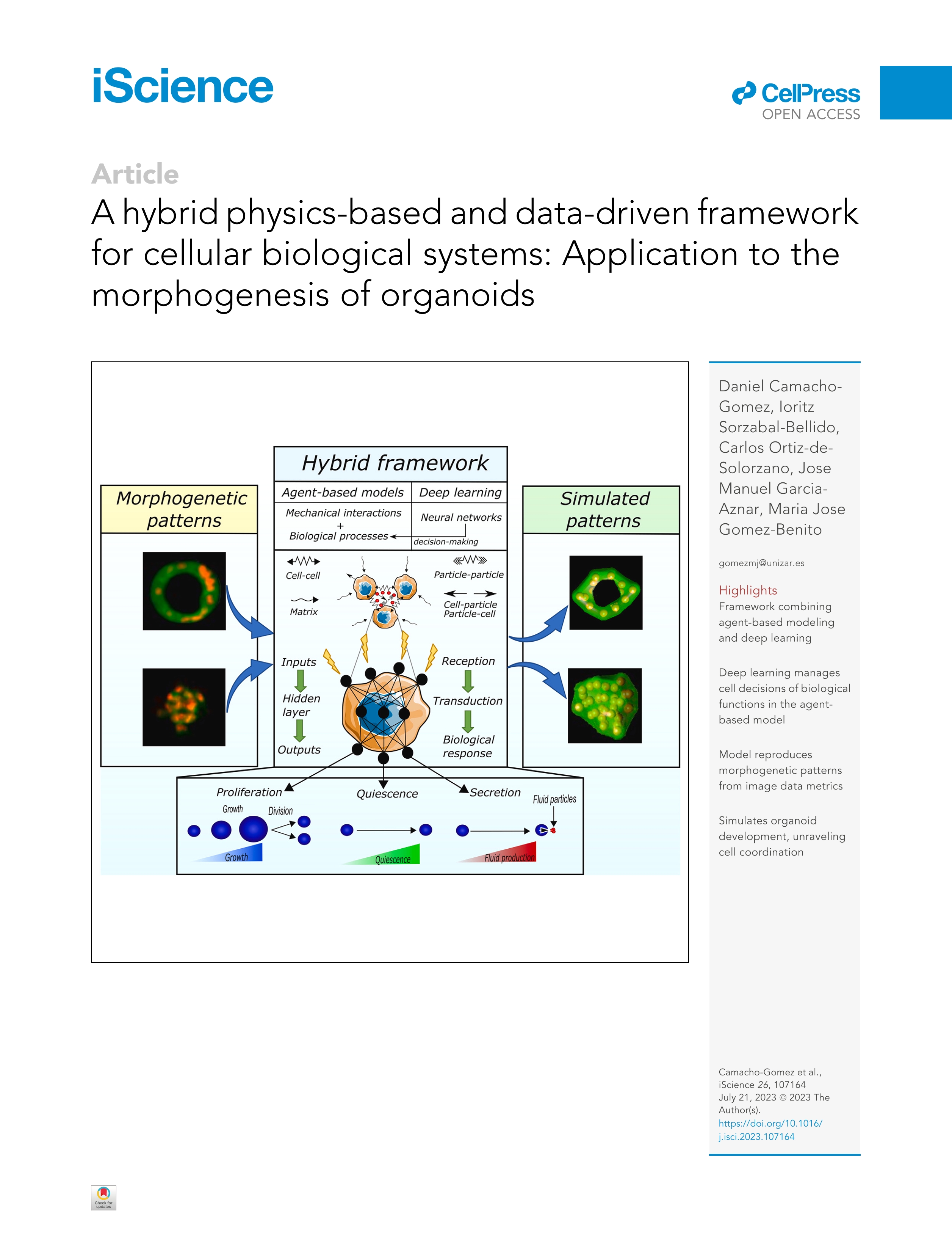 A hybrid physics-based and data-driven framework for cellular biological systems: Application to the morphogenesis of organoids