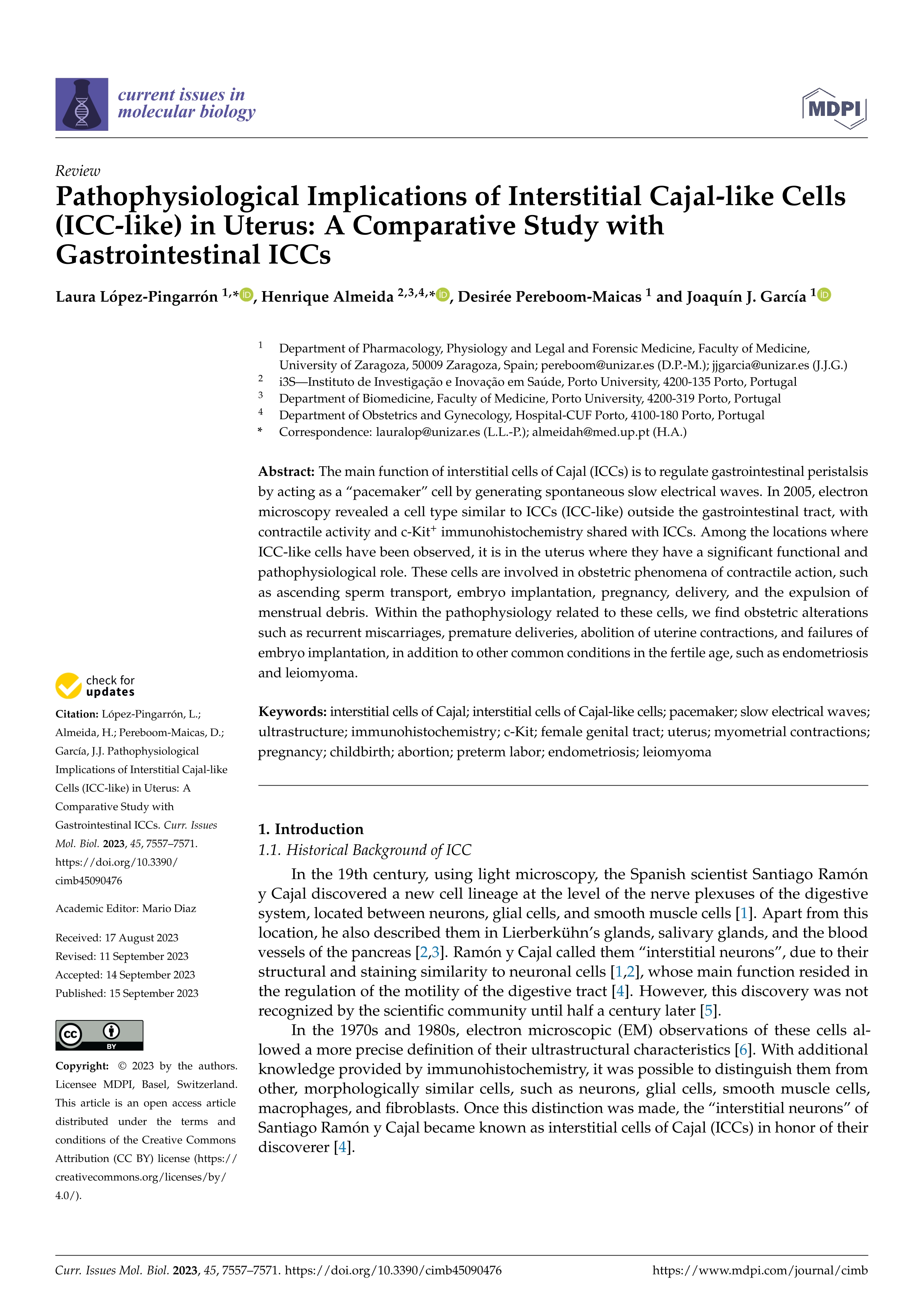 Pathophysiological implications of interstitial Cajal-like cells (ICC-like) in uterus: A comparative study with gastrointestinal ICCs
