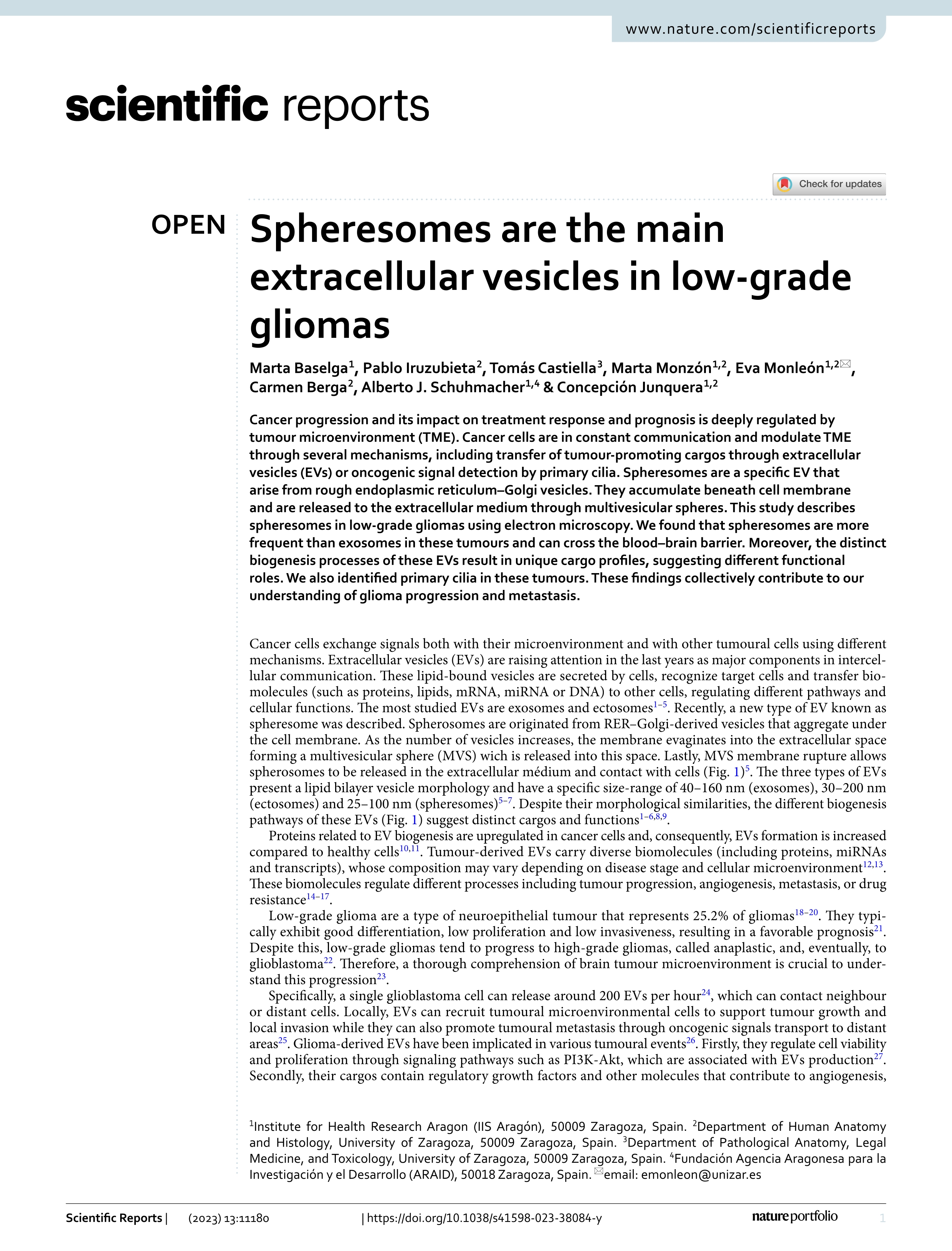 Spheresomes are the main extracellular vesicles in low-grade gliomas