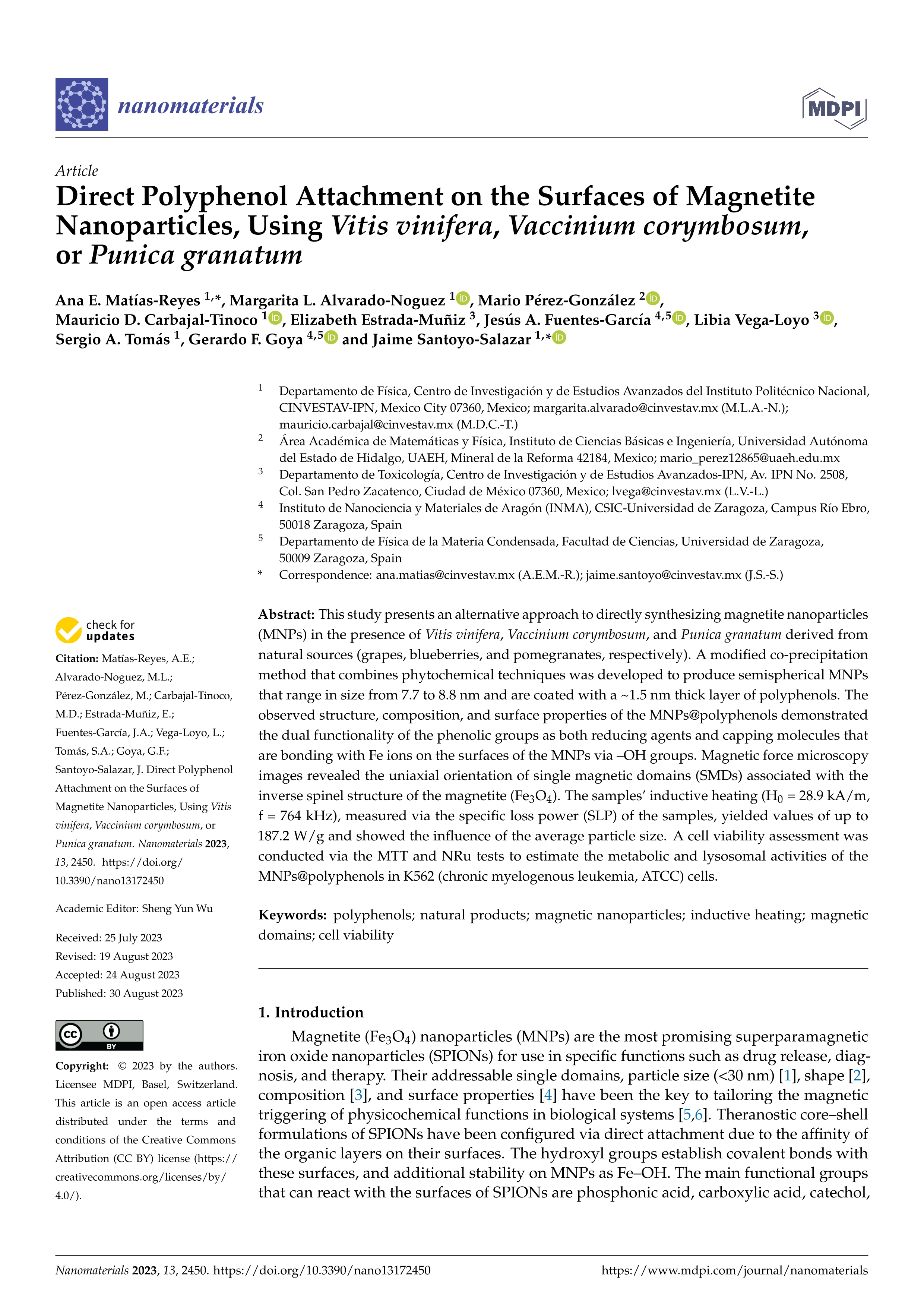 Direct Polyphenol Attachment on the Surfaces of Magnetite Nanoparticles, Using Vitis vinifera, Vaccinium corymbosum, or Punica granatum