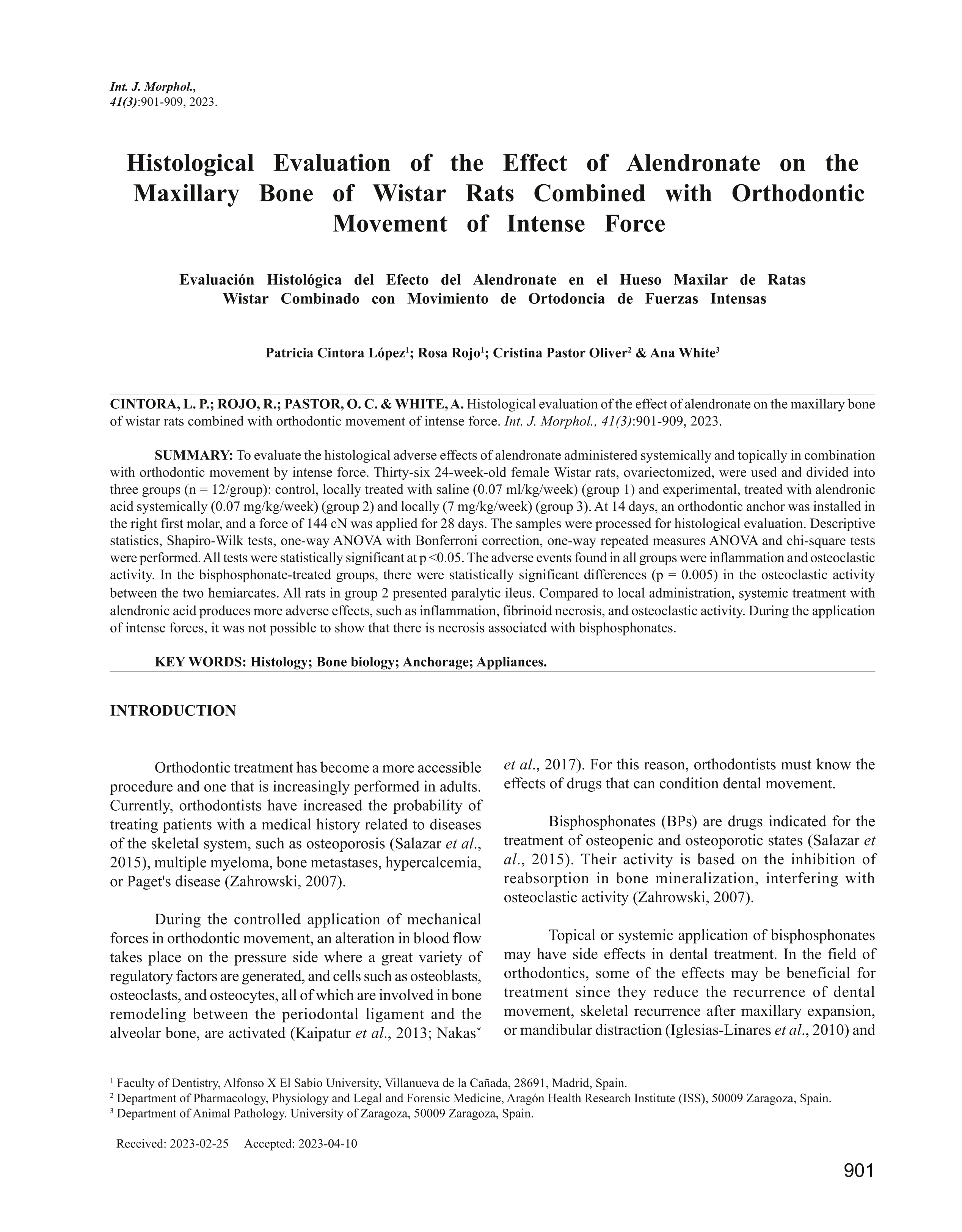 Histological Evaluation of the Effect of Alendronate on the Maxillary Bone of Wistar Rats Combined with Orthodontic Movement of Intense Force