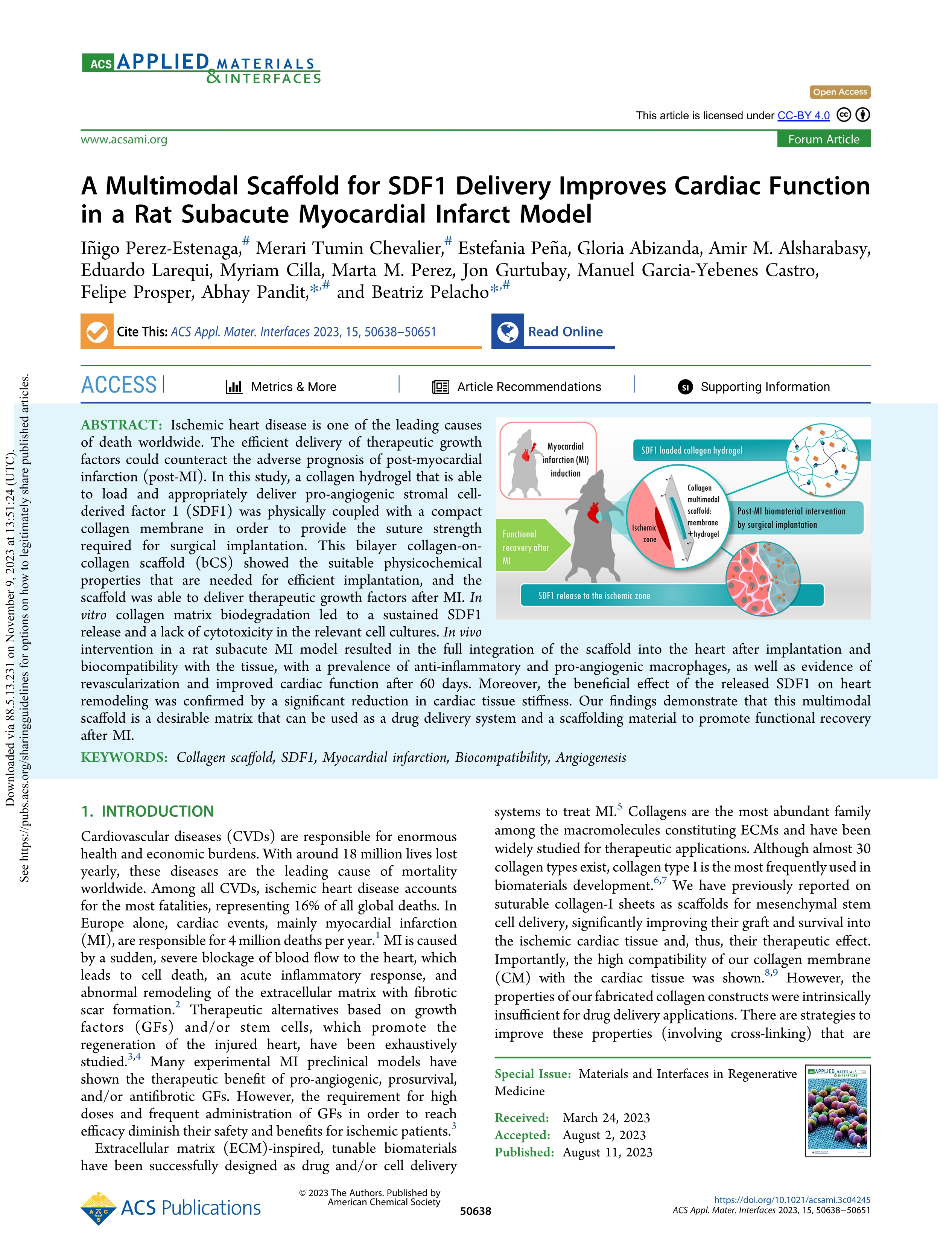 A Multimodal Scaffold for SDF1 Delivery Improves Cardiac Function in a Rat Subacute Myocardial Infarct Model