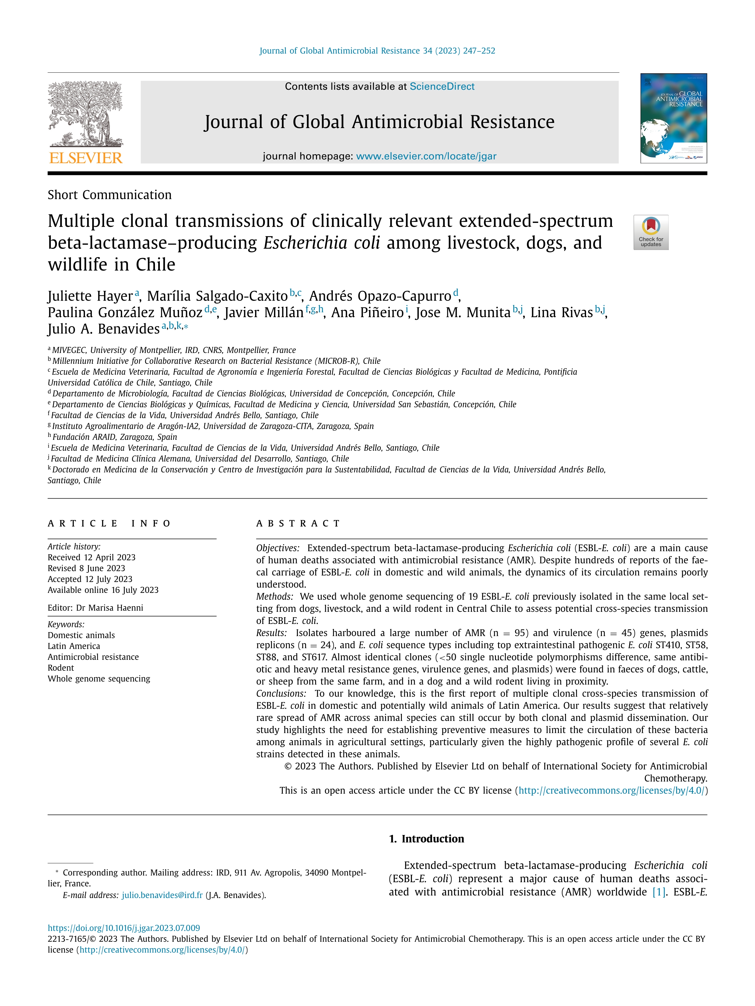 Multiple clonal transmissions of clinically relevant extended-spectrum beta-lactamase–producing Escherichia coli among livestock, dogs, and wildlife in Chile